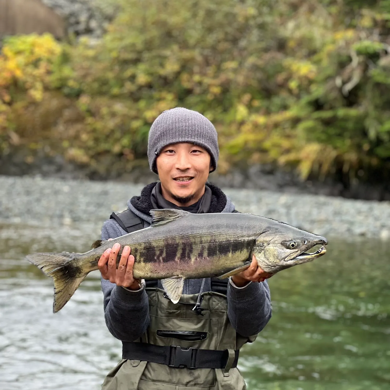 ᐅ Gold River fishing reports🎣• British Columbia, Canada fishing