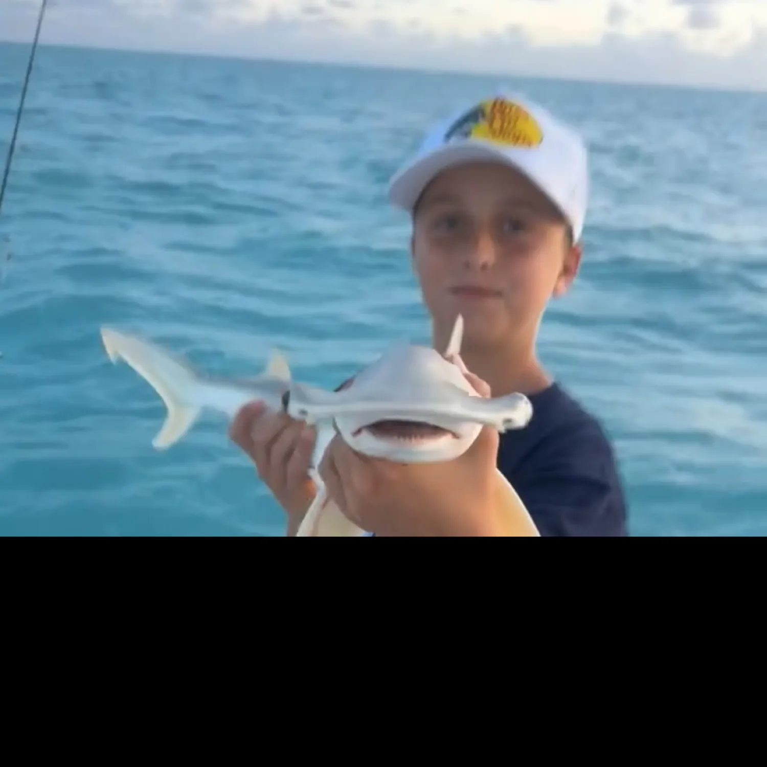 The most popular recent Great hammerhead shark catch on Fishbrain