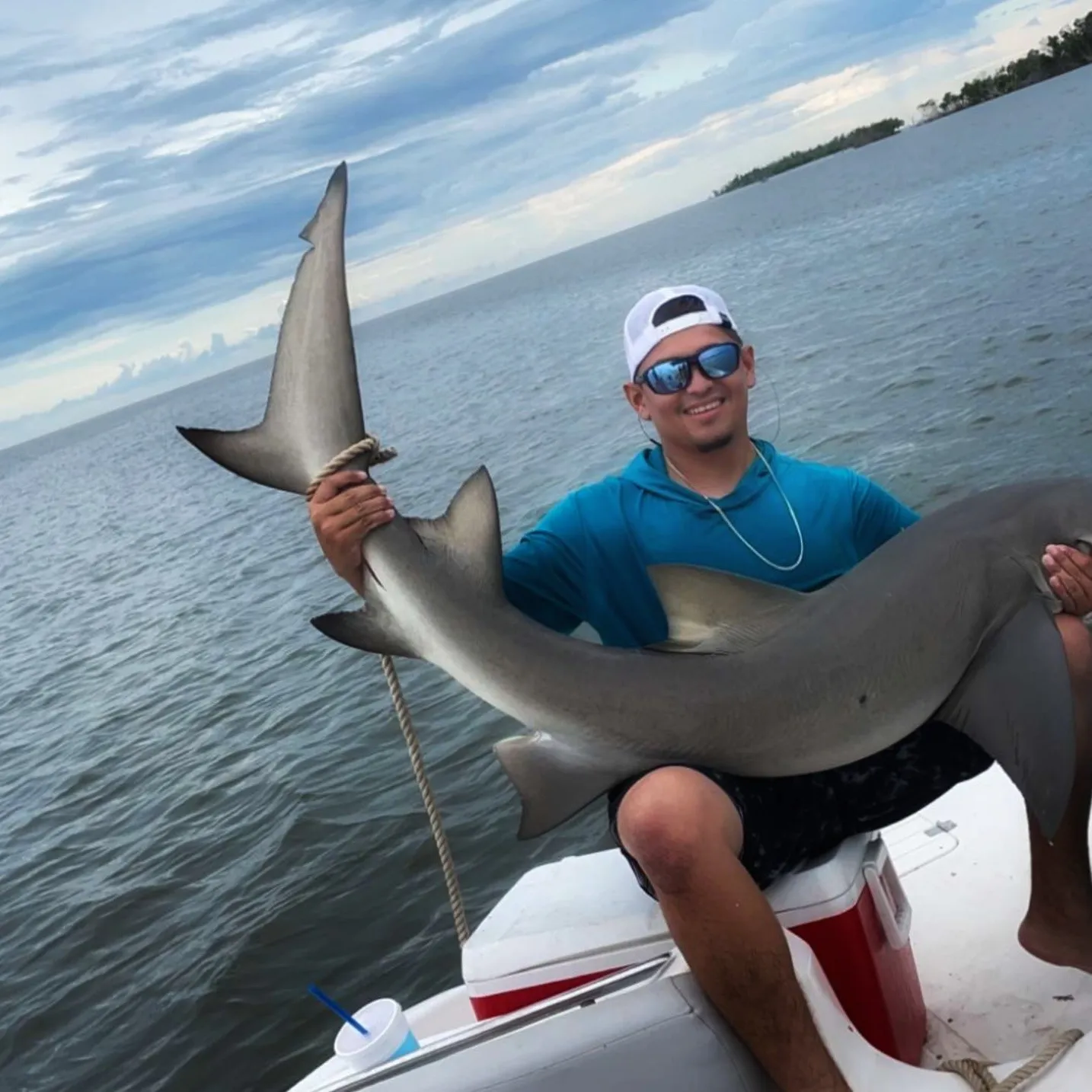 The most popular recent Lemon shark catch on Fishbrain