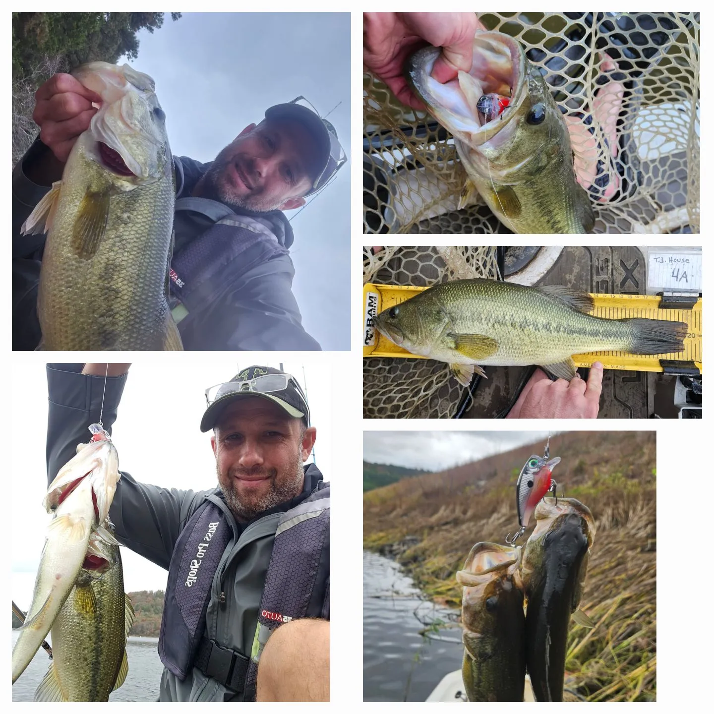 recently logged catches