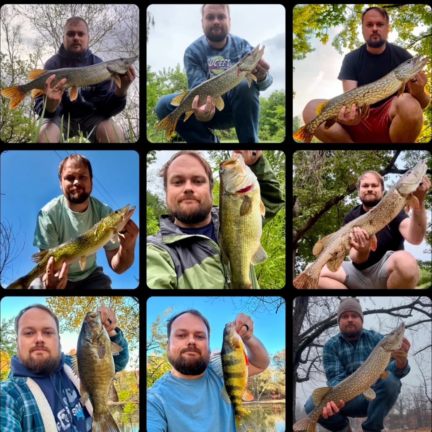 recently logged catches