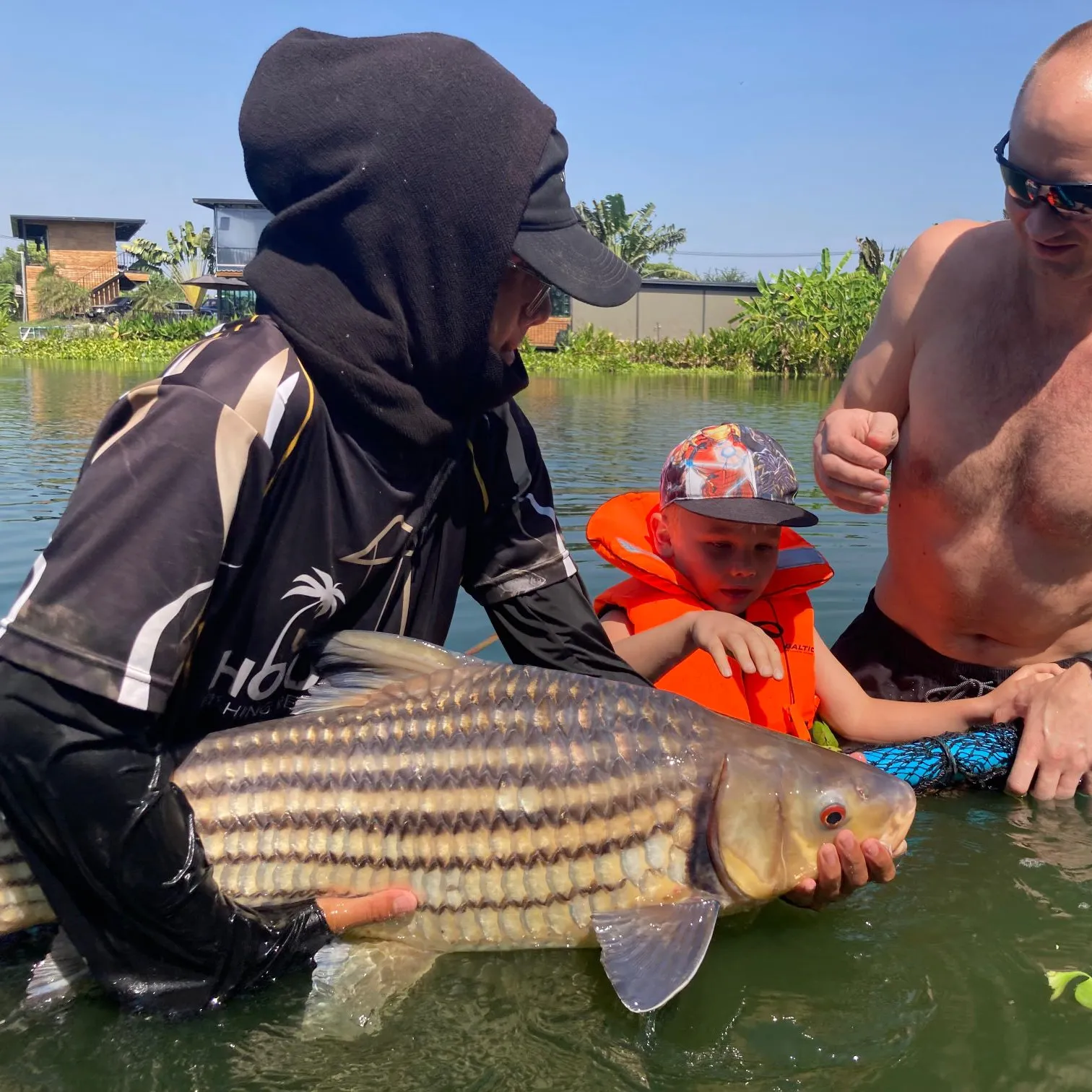 The most popular recent Julian's golden carp catch on Fishbrain