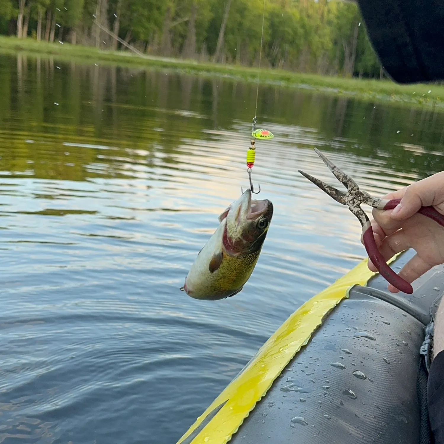 recently logged catches