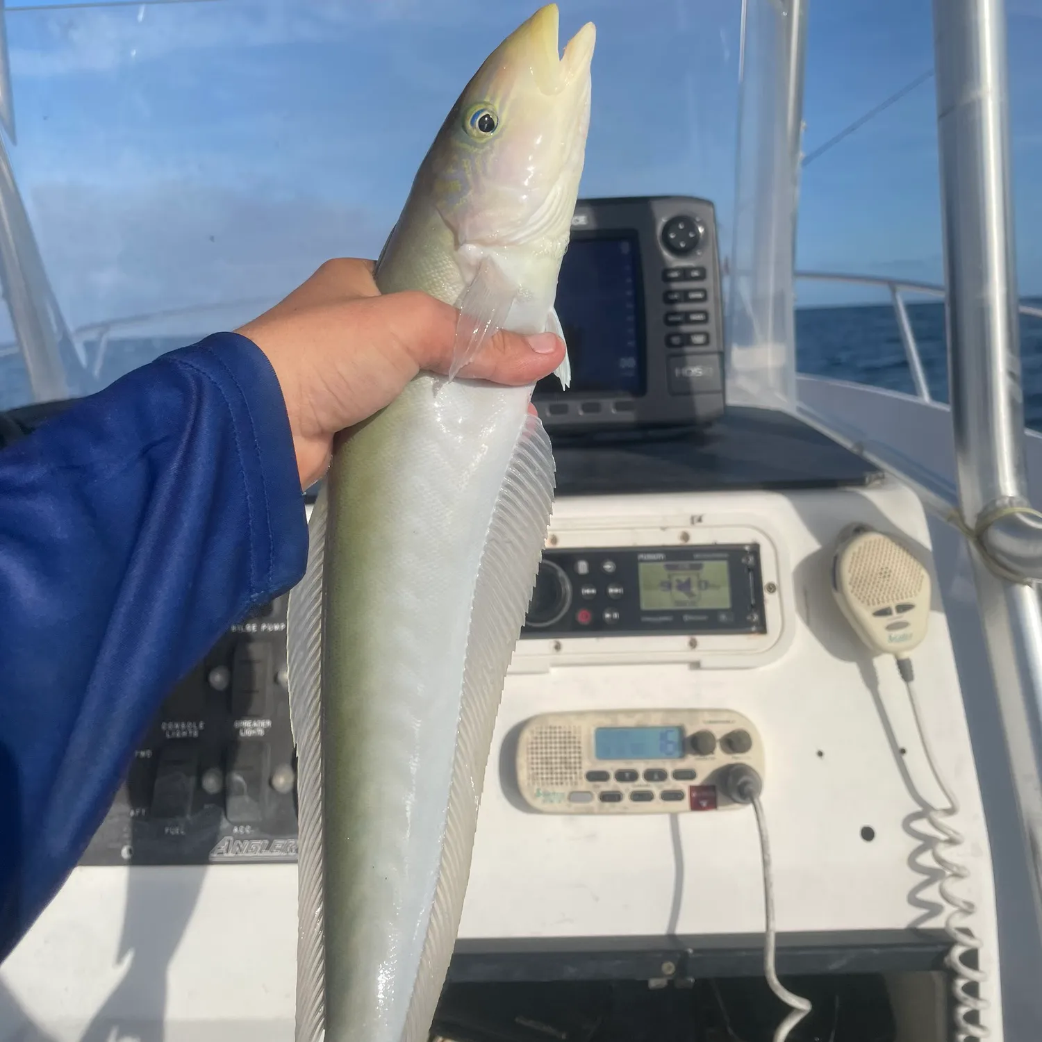 The most popular recent Sand tilefish catch on Fishbrain