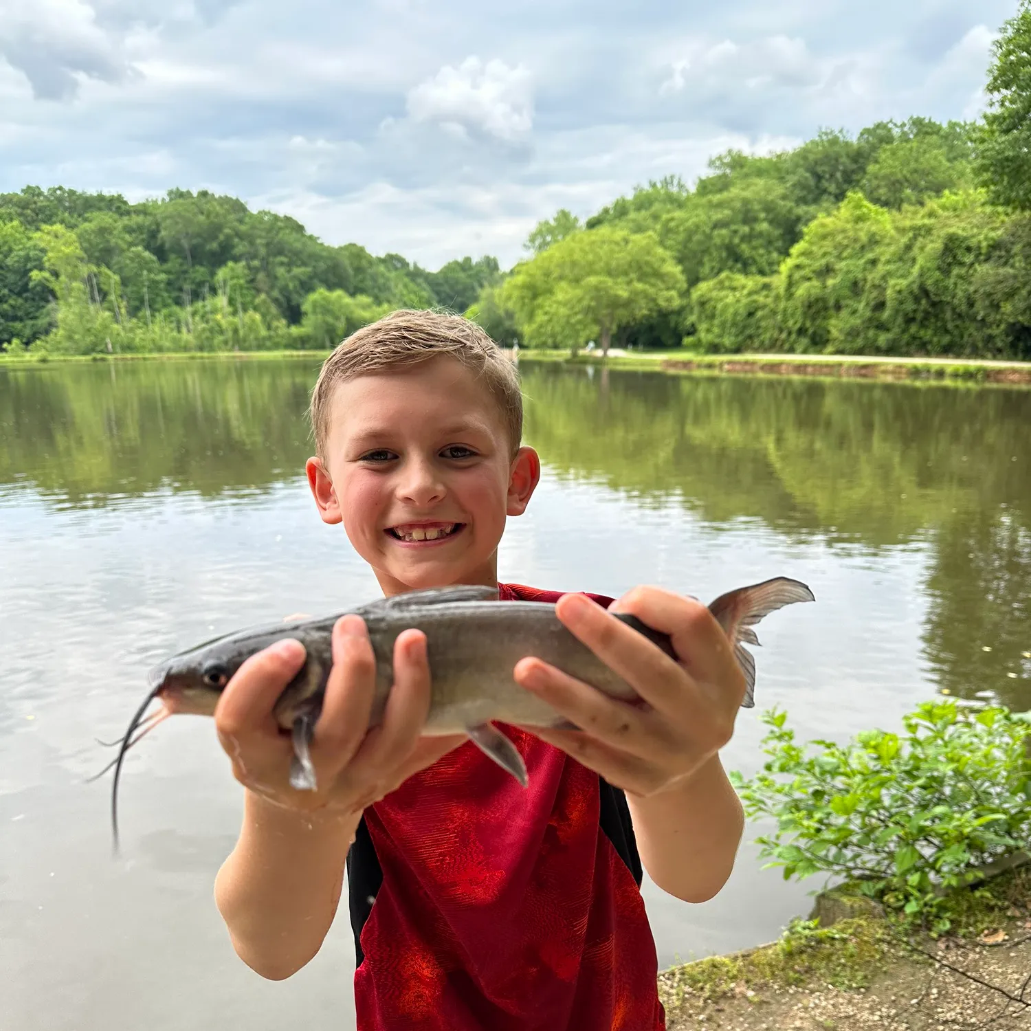 ᐅ McAlpine Creek Park Pond fishing reports🎣• Mint Hill, NC (United ...