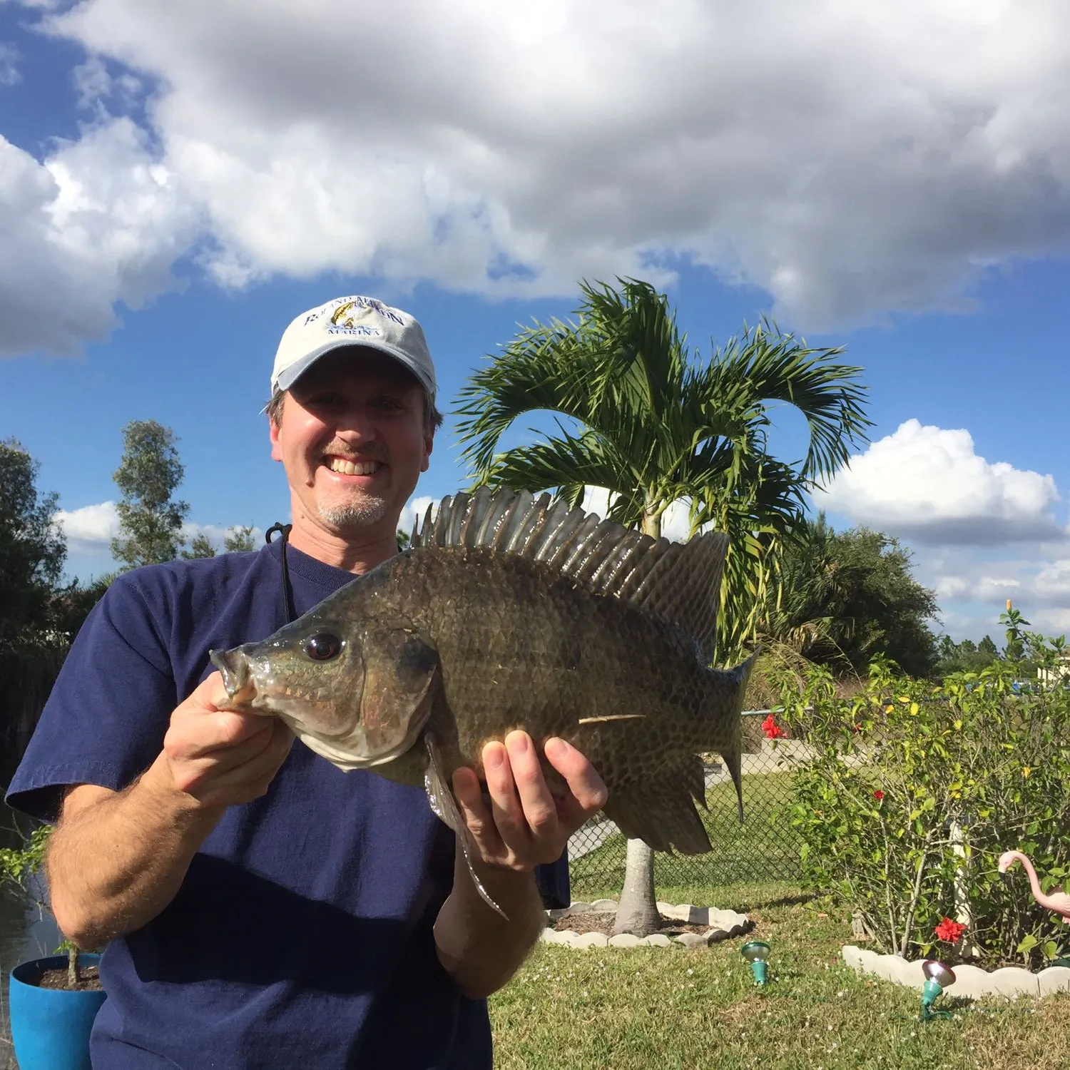 The most popular recent Nile tilapia catch on Fishbrain