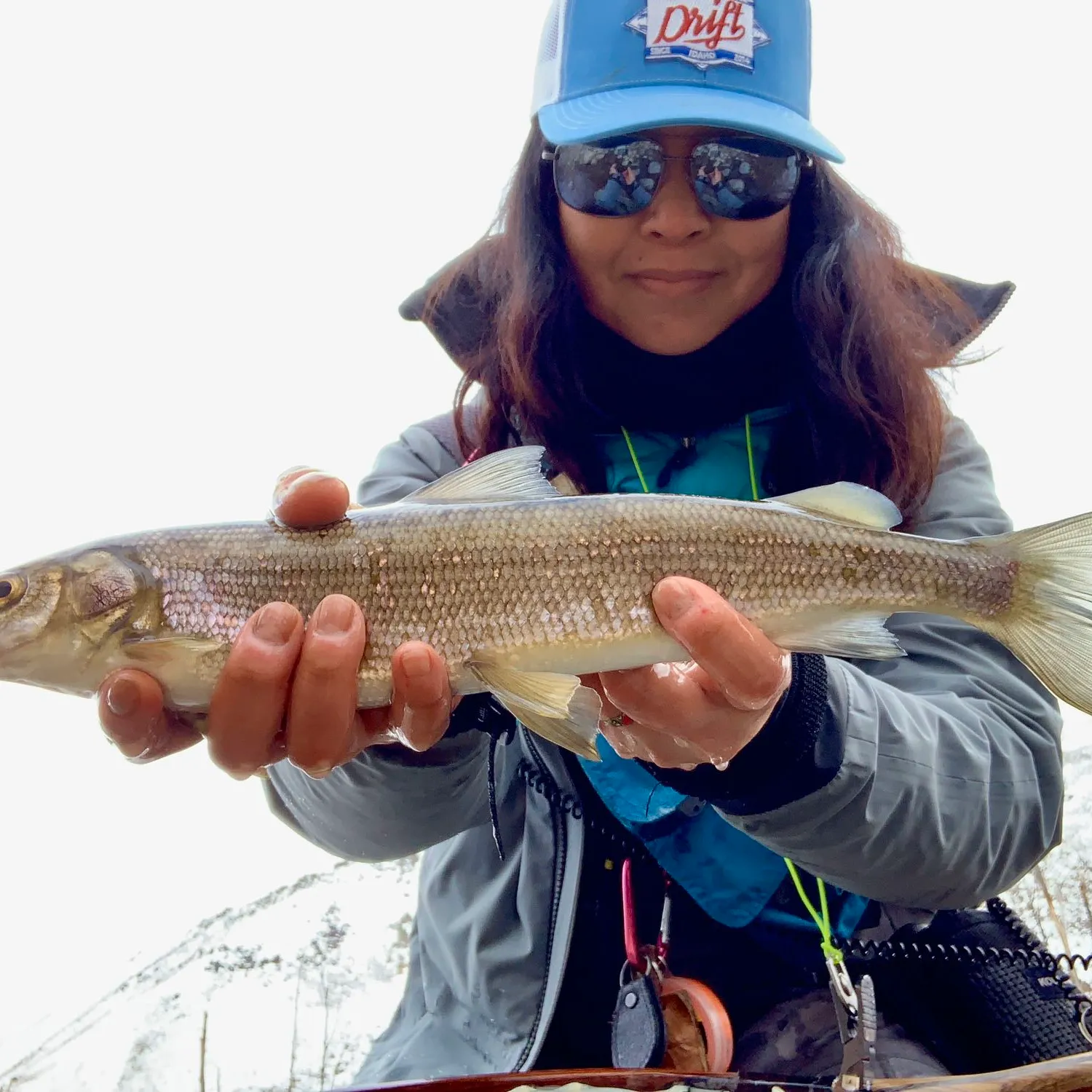 The most popular recent Mountain whitefish catch on Fishbrain