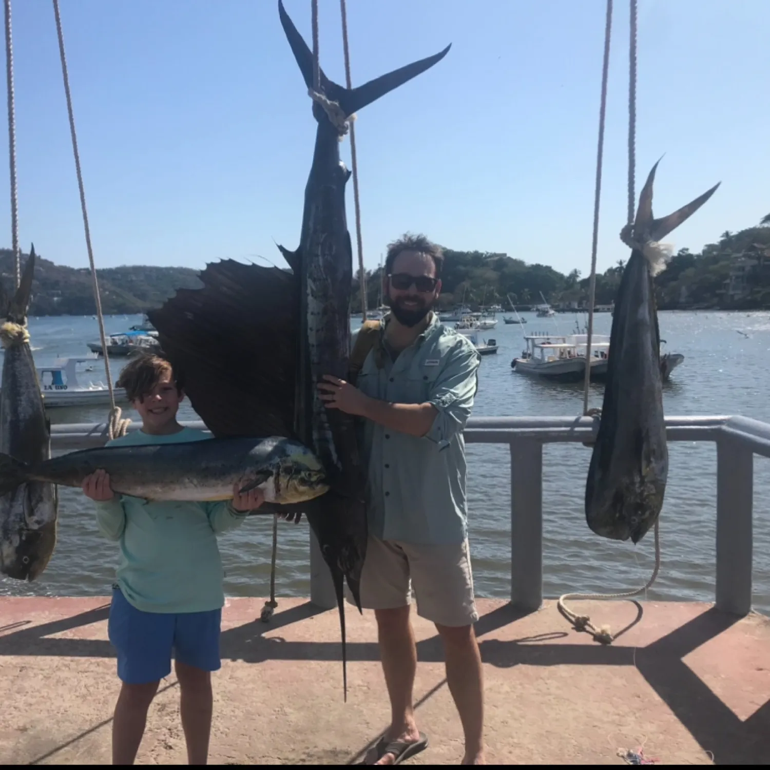 The most popular recent Atlantic sailfish catch on Fishbrain