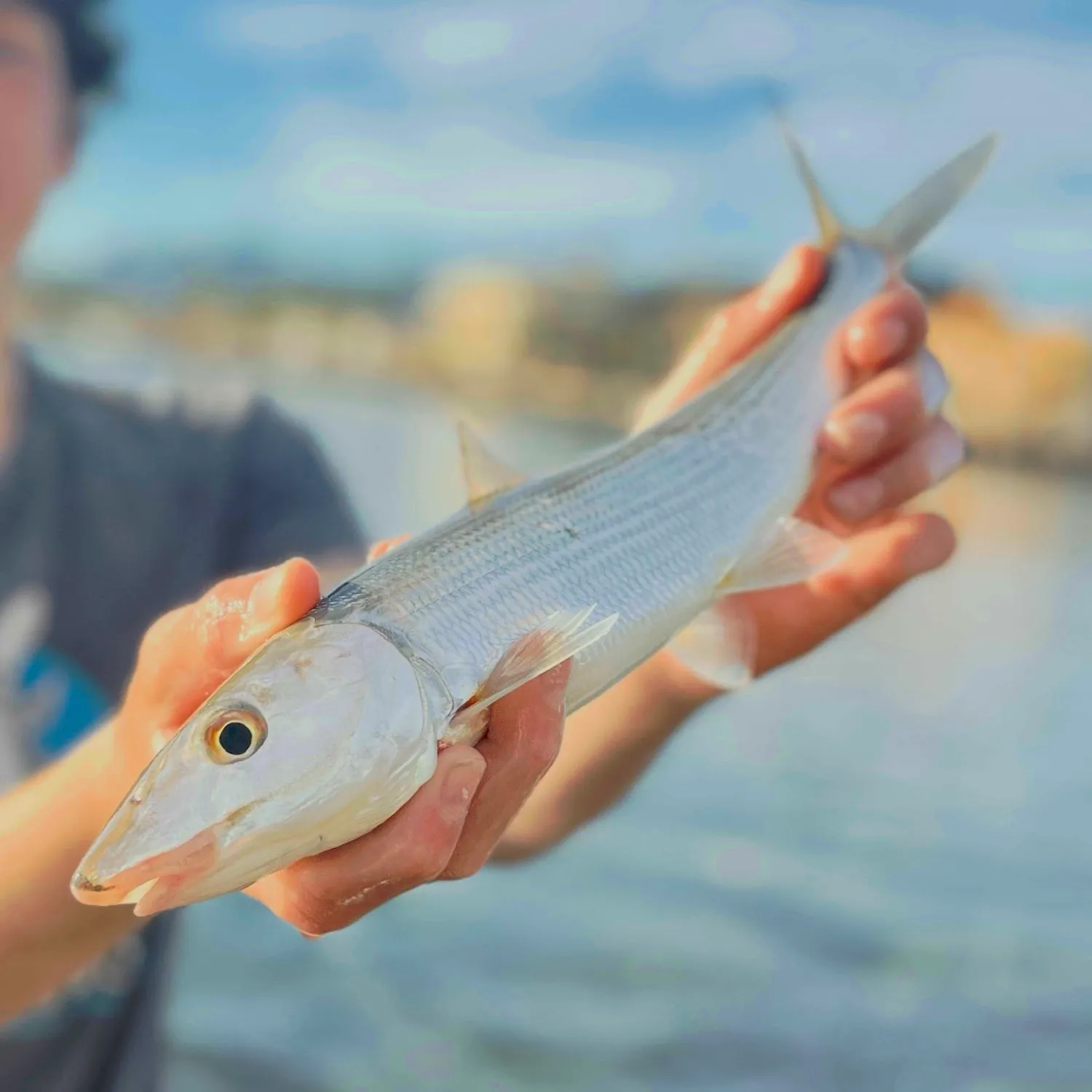 The most popular recent West Atlantic bonefish catch on Fishbrain