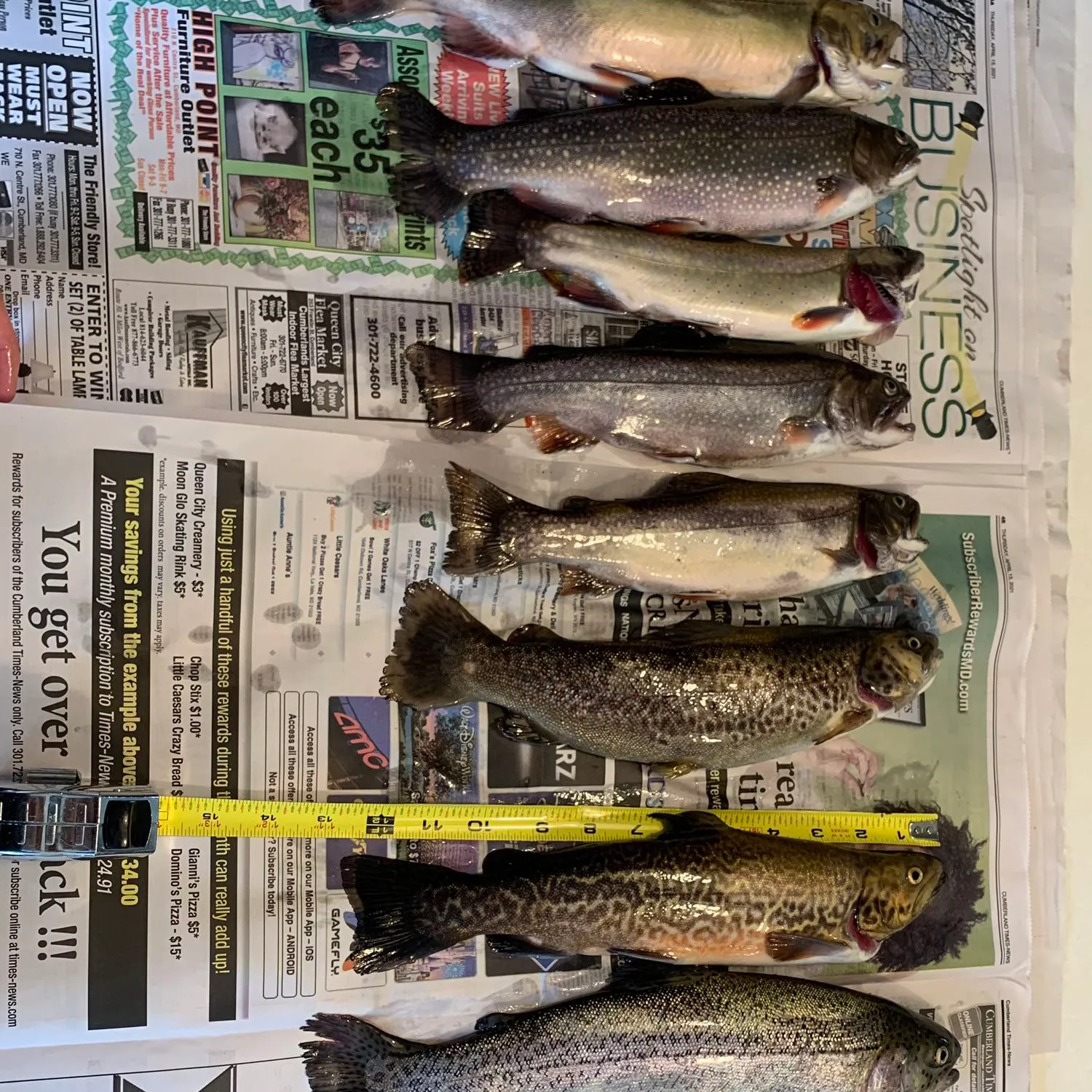 recently logged catches