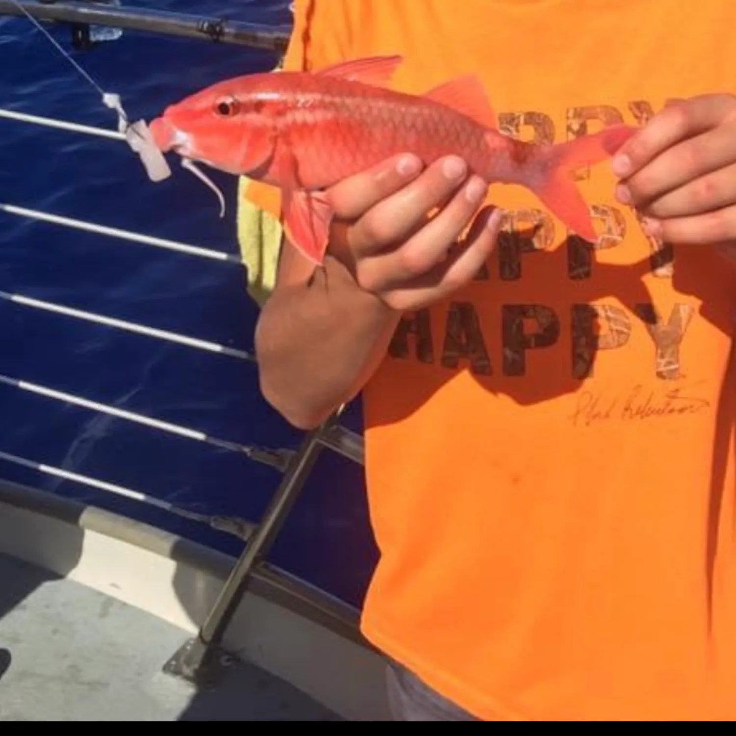 The most popular recent Red mullet catch on Fishbrain