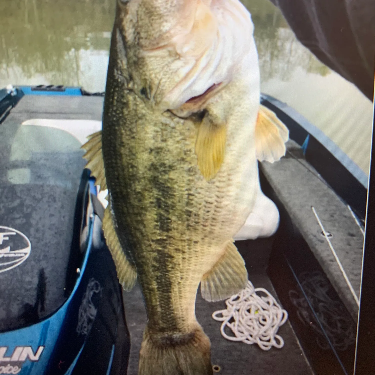 ᐅ Table Rock Reservoir fishing reports🎣• Brevard, SC (United States ...