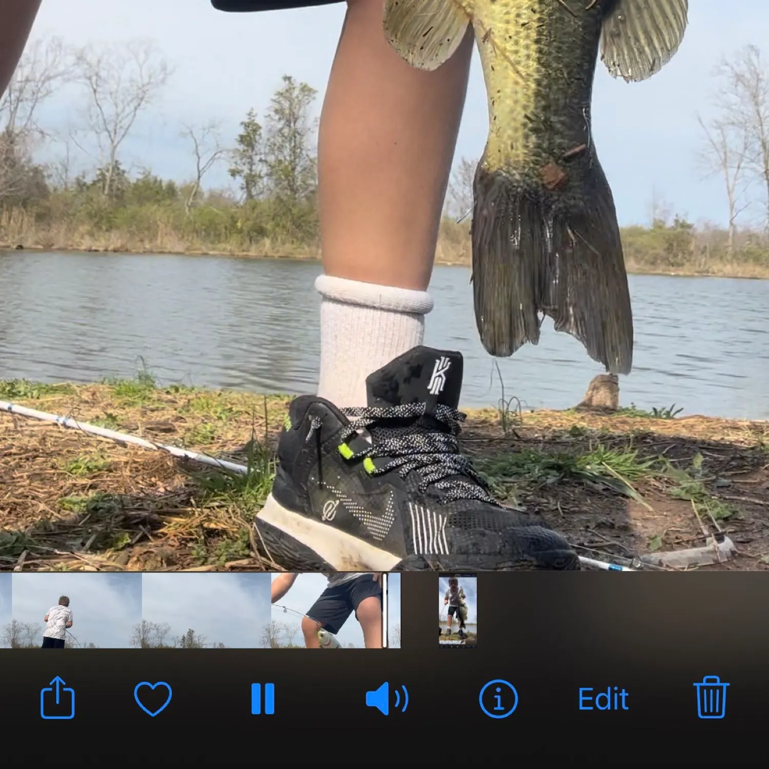 recently logged catches