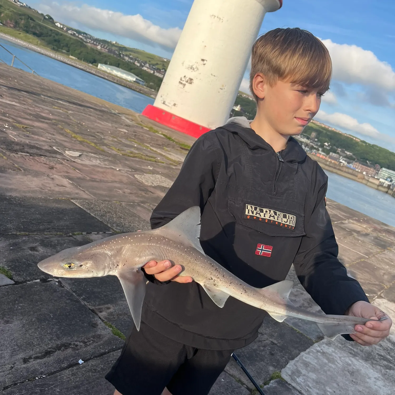 The most popular recent Common smooth-hound catch on Fishbrain