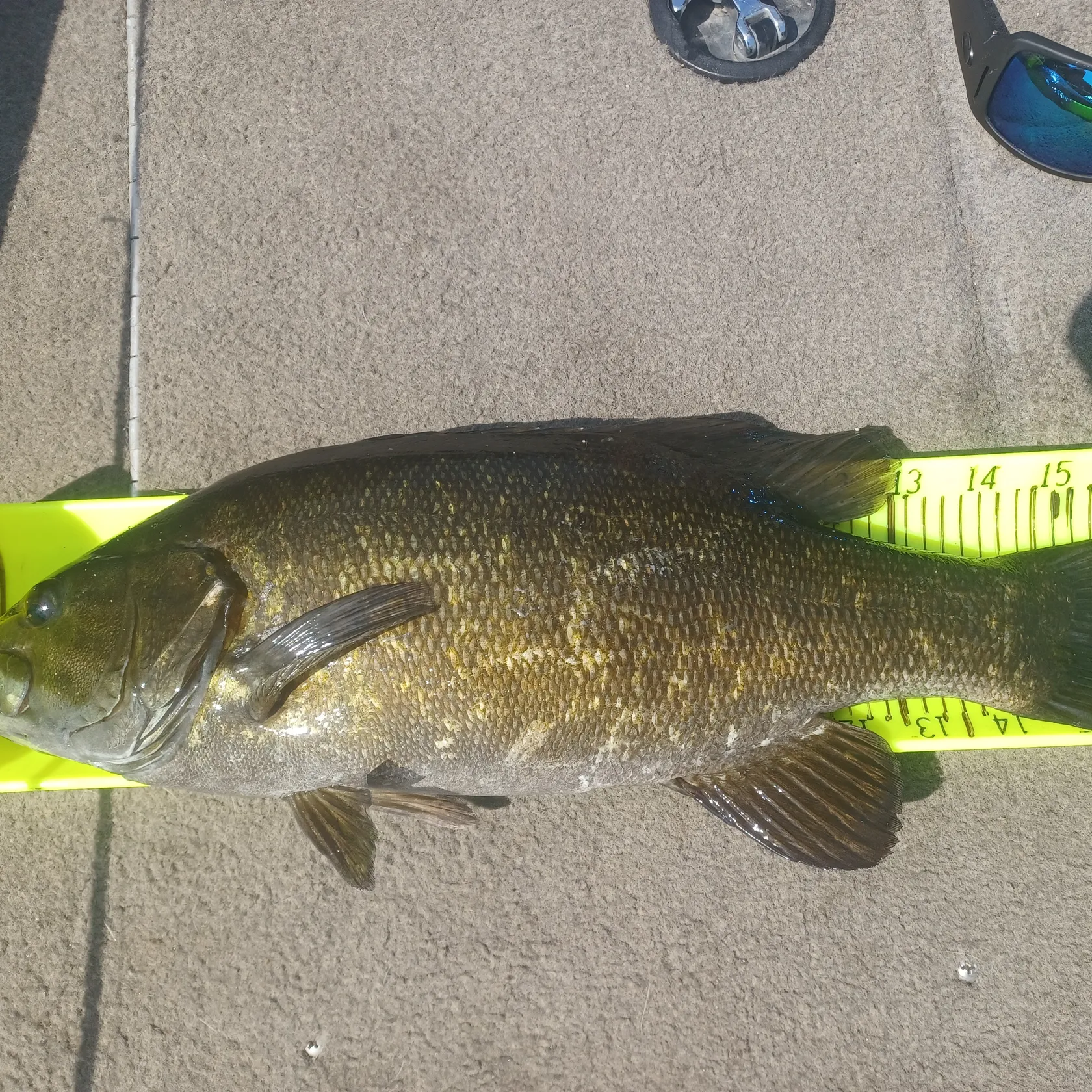 ᐅ Wabana Lake Fishing Reports🎣• Grand Rapids, Mn (united States) Fishing