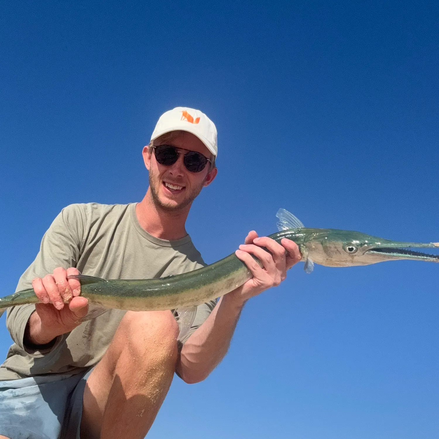 The most popular recent Mexican needlefish catch on Fishbrain