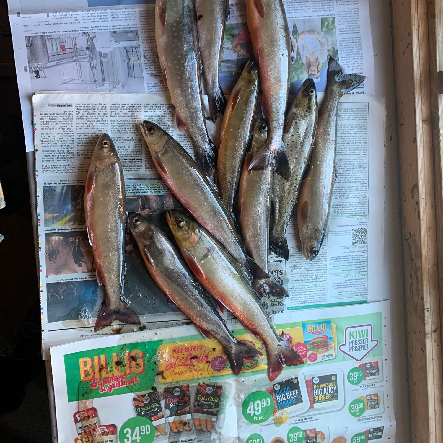 recently logged catches