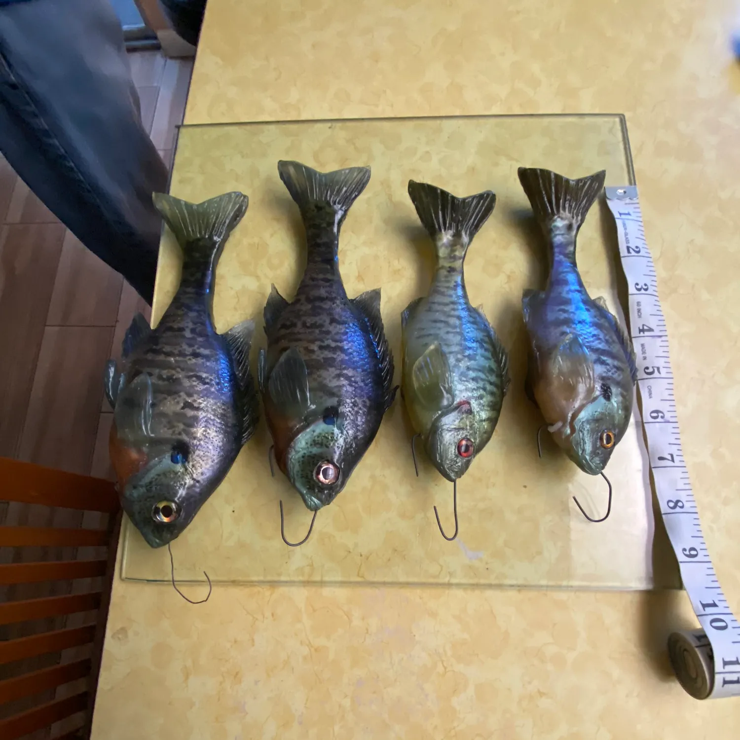 recently logged catches