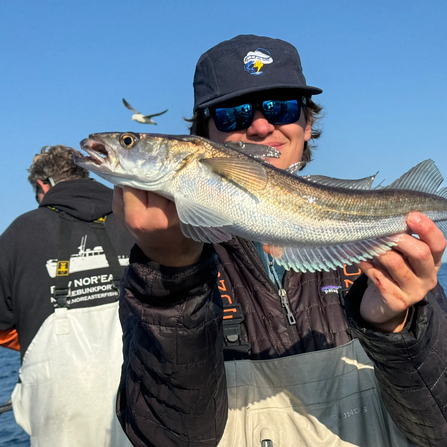 The most popular recent Silver hake catch on Fishbrain