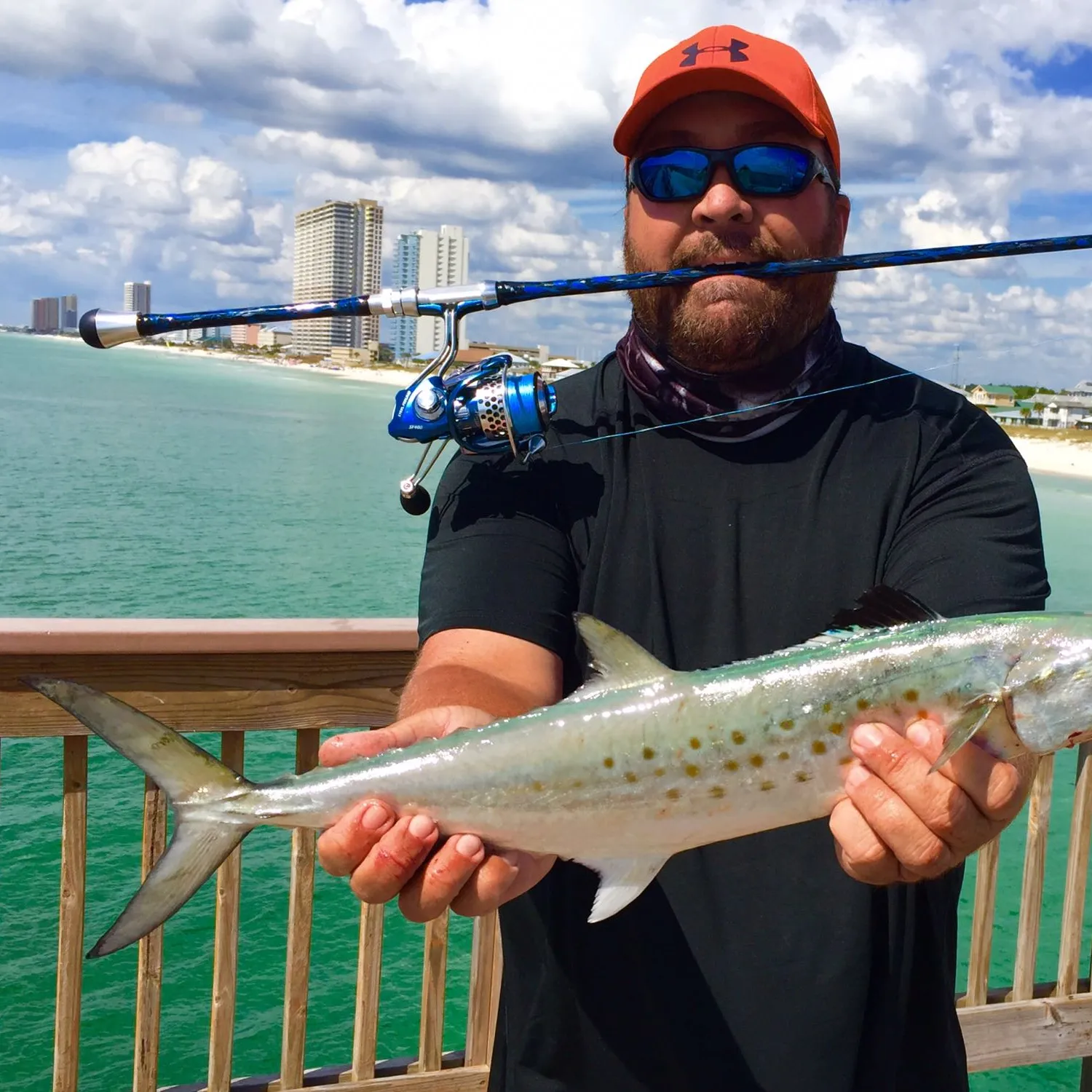 The most popular recent Spanish mackerel catch on Fishbrain