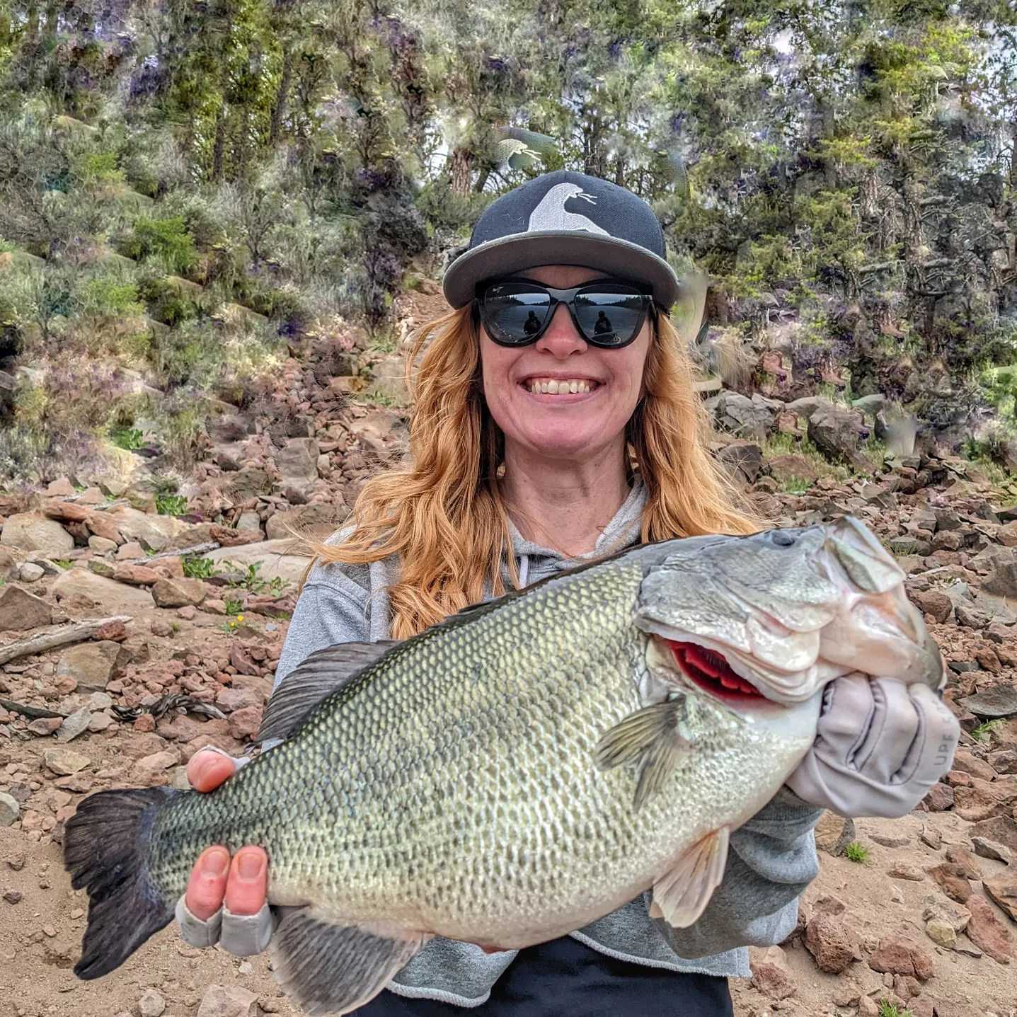 The most popular recent Largemouth bass catch on Fishbrain