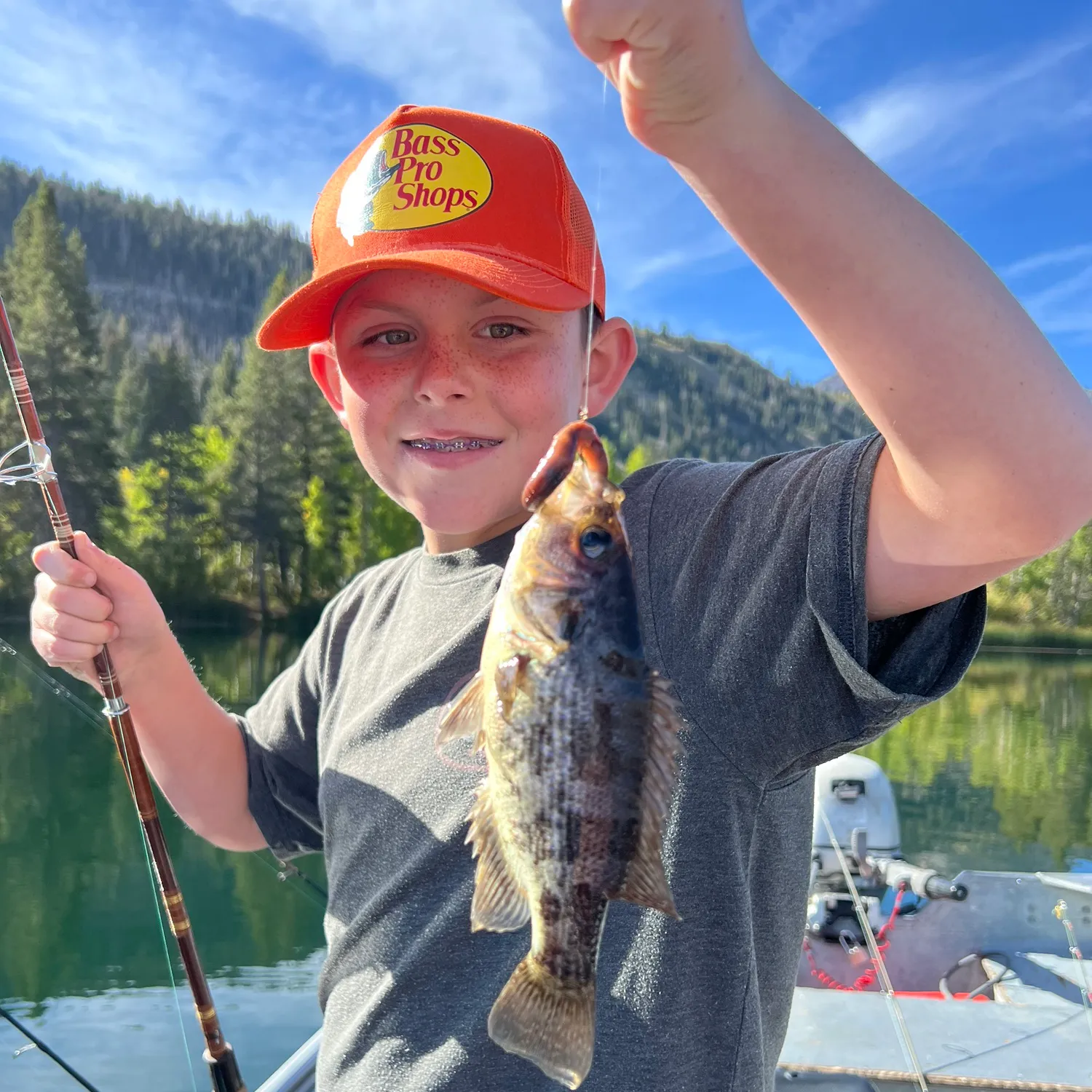 The most popular recent Sacramento perch catch on Fishbrain