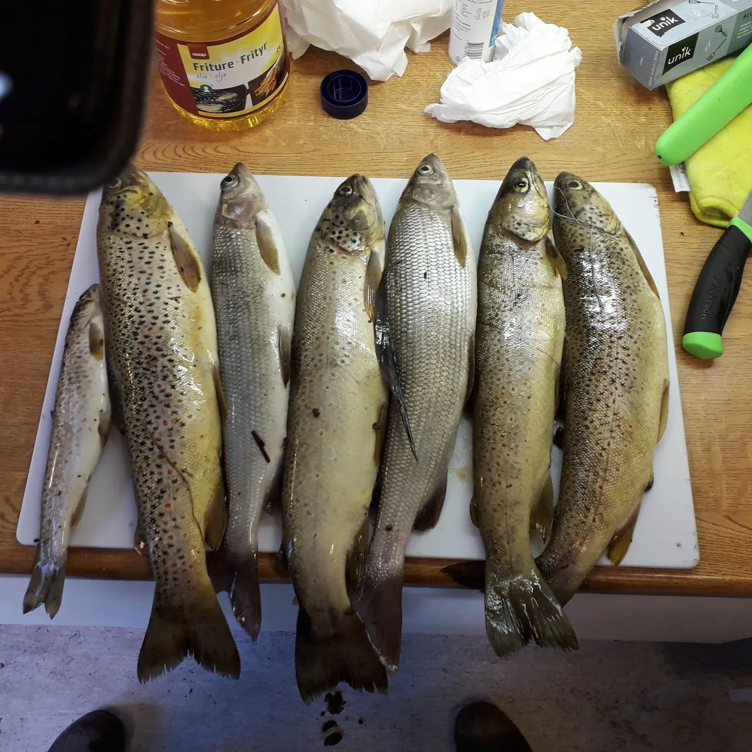 recently logged catches