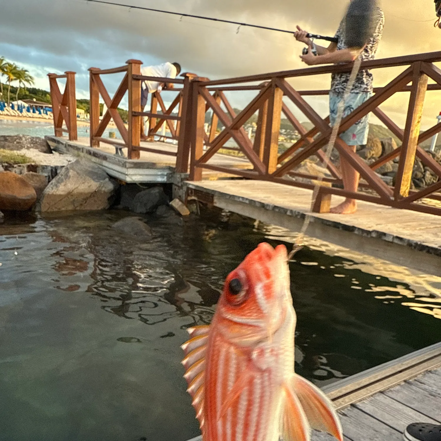 The most popular recent Longspine squirrelfish catch on Fishbrain