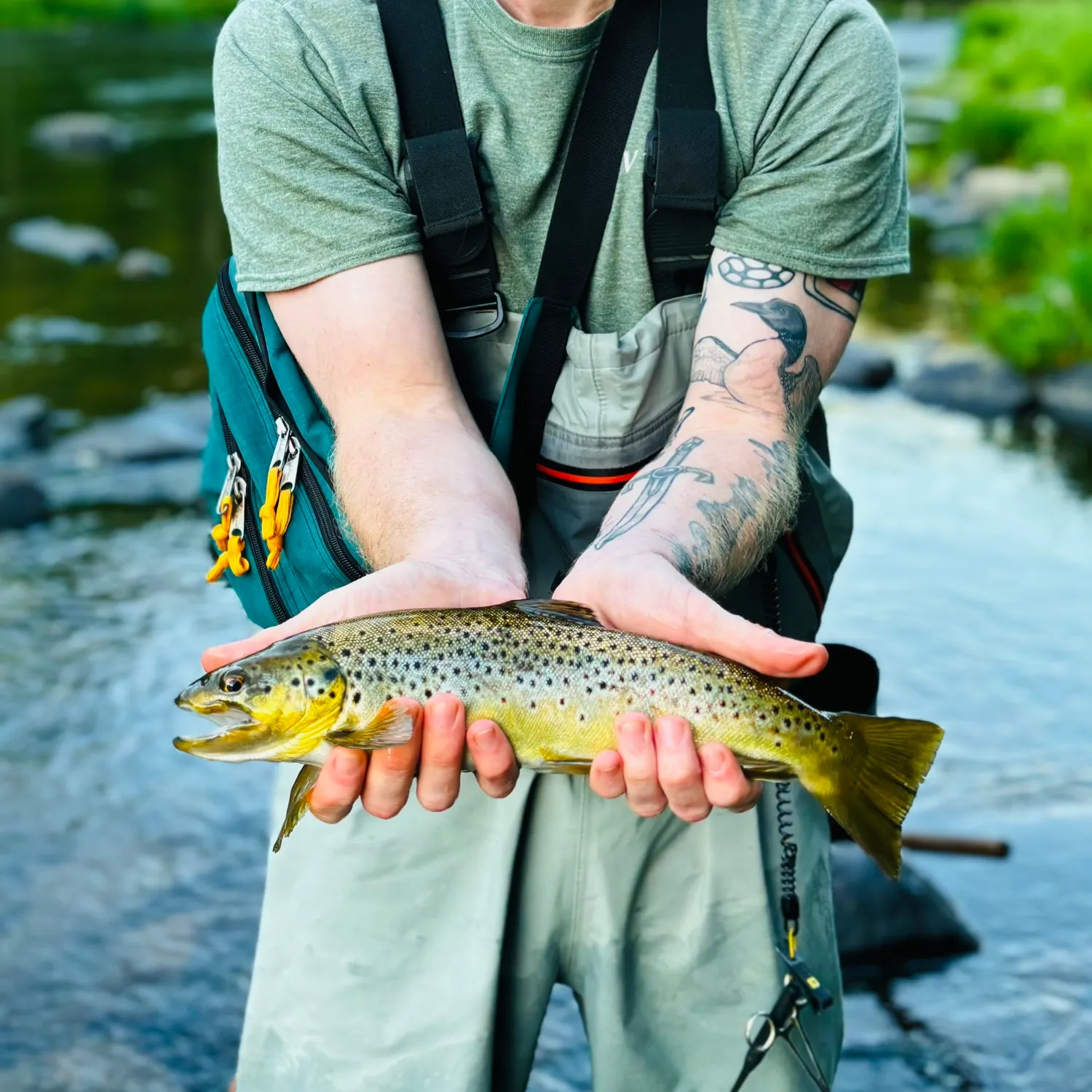 recently logged catches