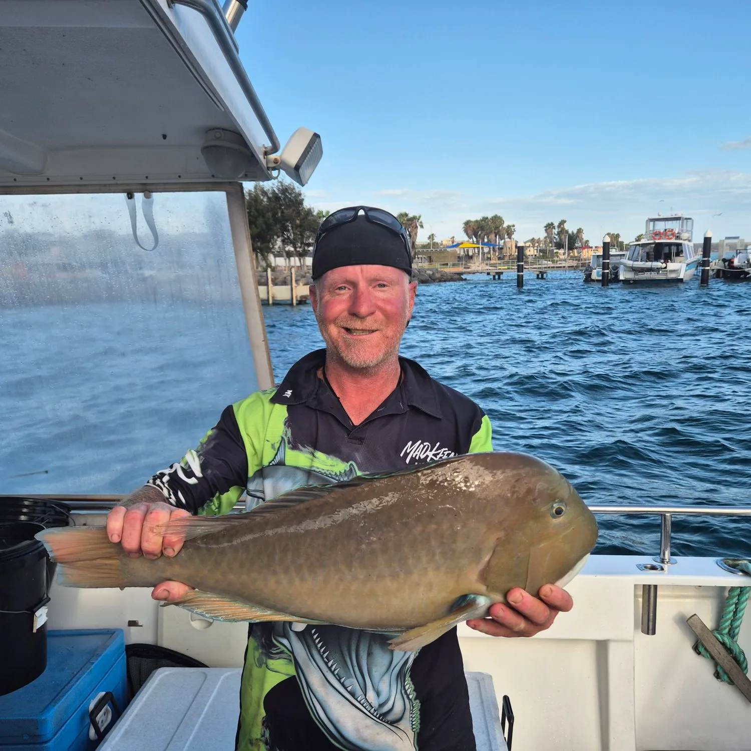 The most popular recent Baldchin groper catch on Fishbrain