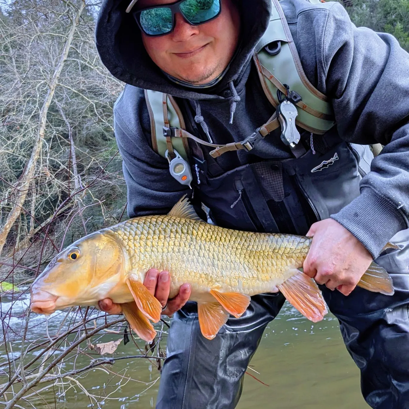 The most popular recent Golden redhorse catch on Fishbrain