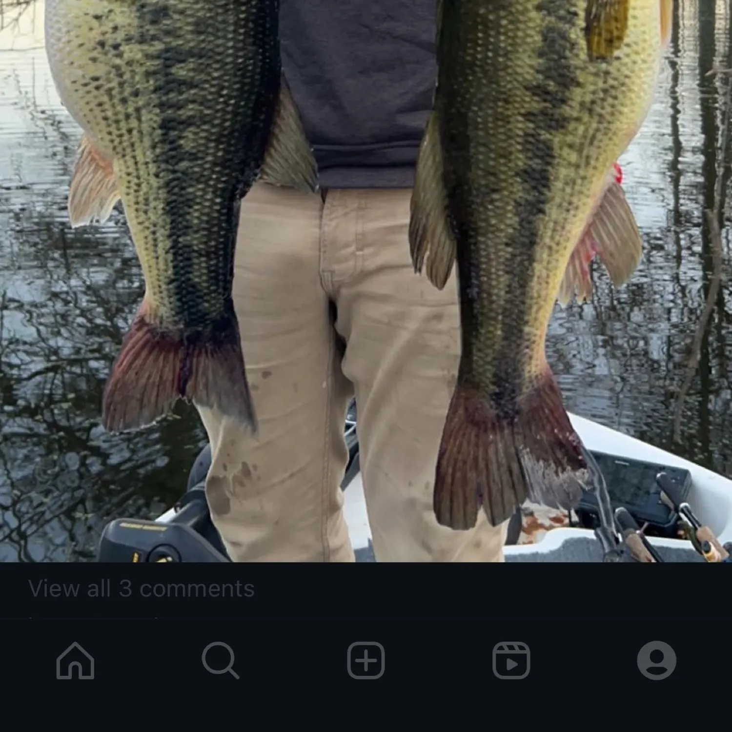 recently logged catches