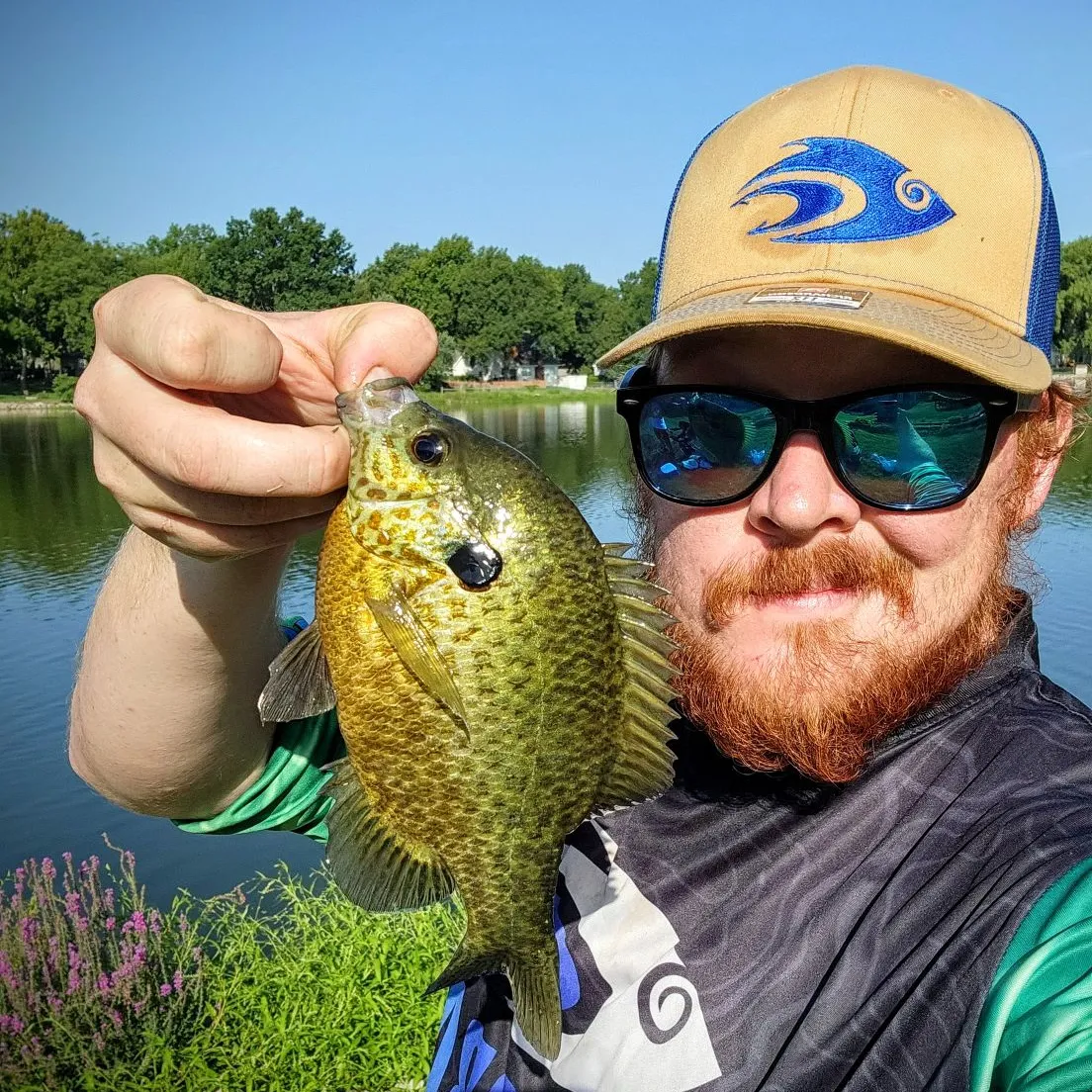 The most popular recent Redear x bluegill catch on Fishbrain