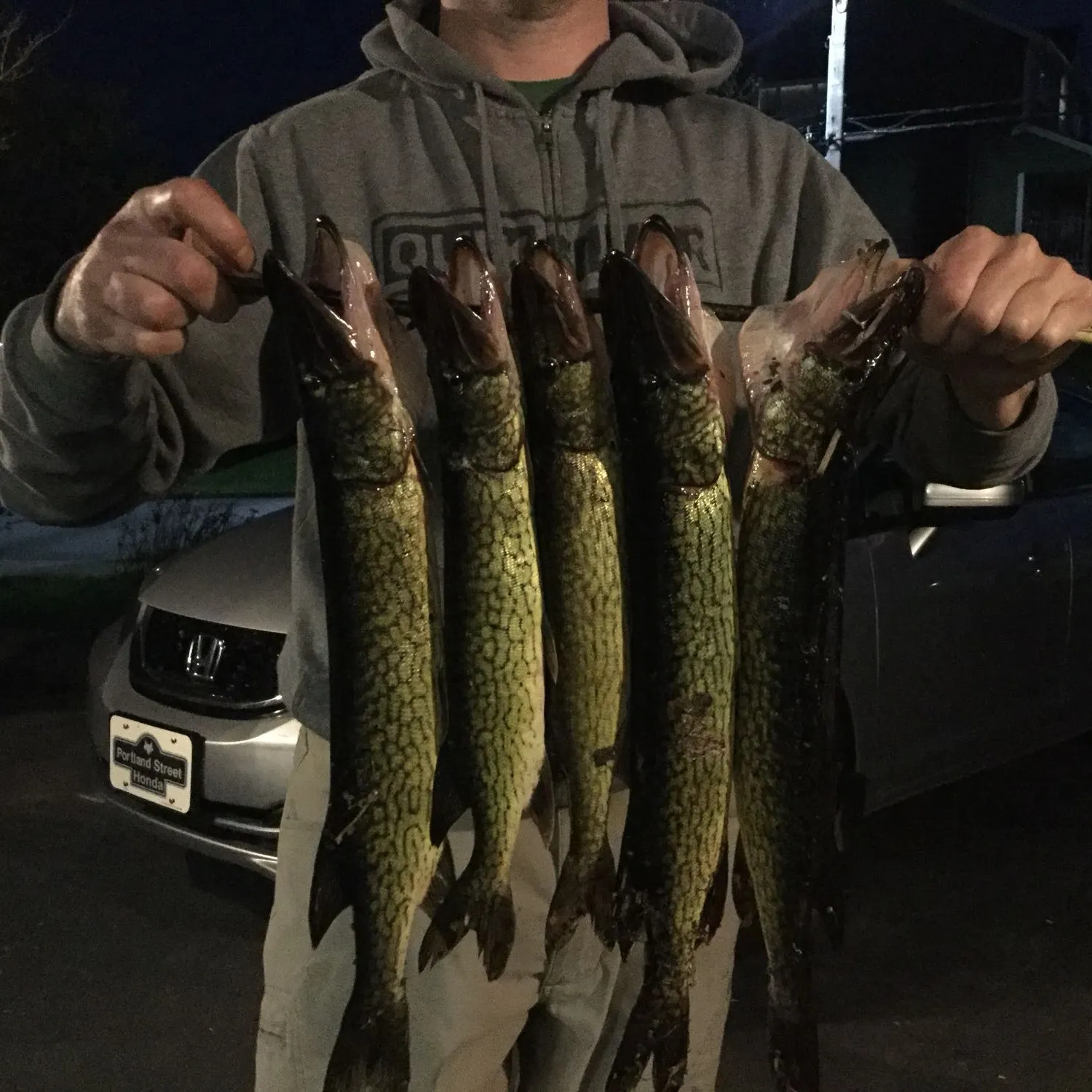 recently logged catches