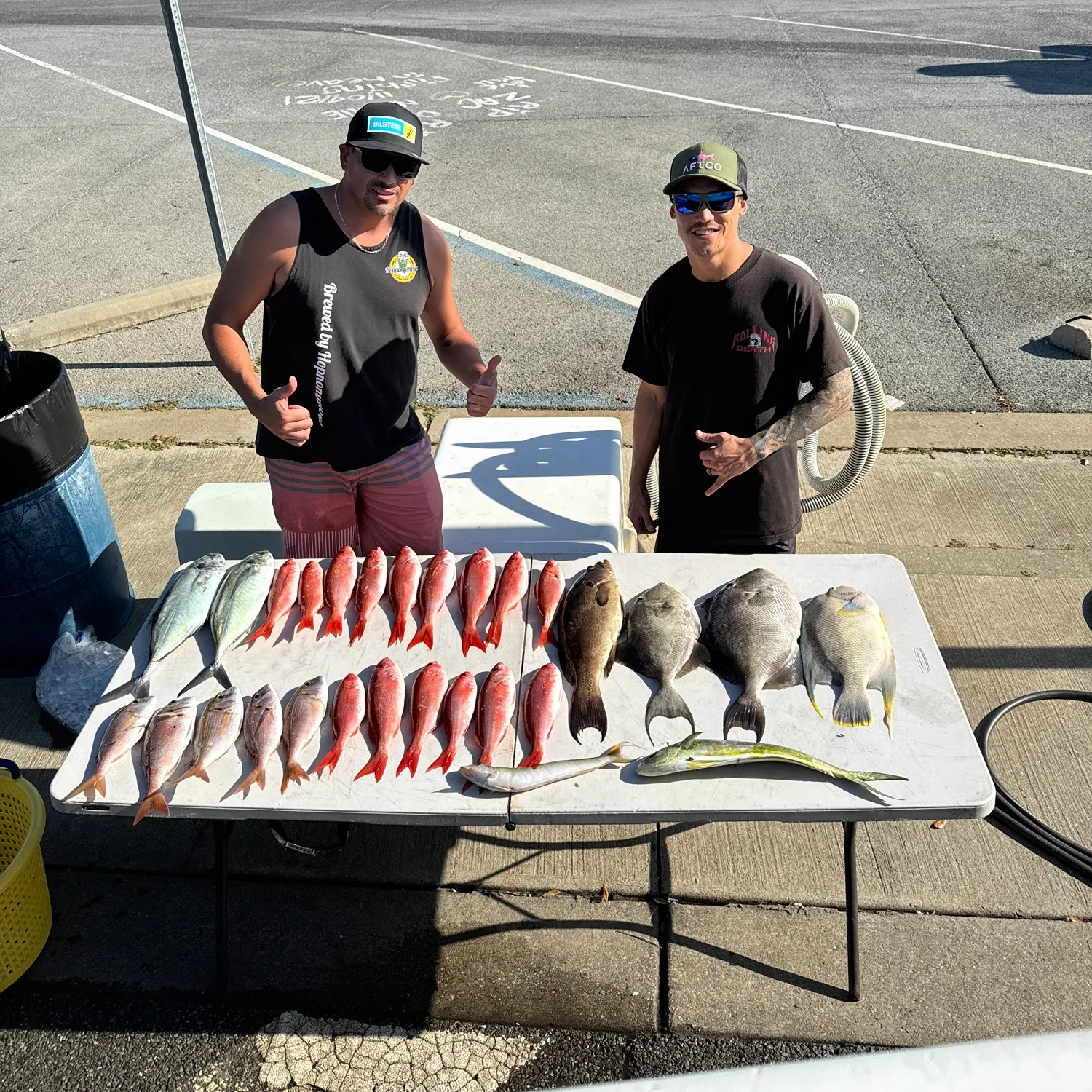 The most popular recent Sand tilefish catch on Fishbrain