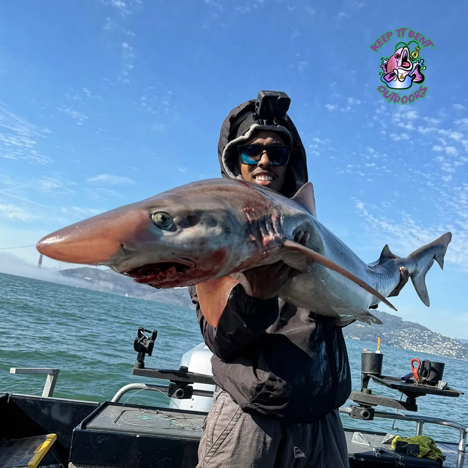 The most popular recent Tope shark catch on Fishbrain