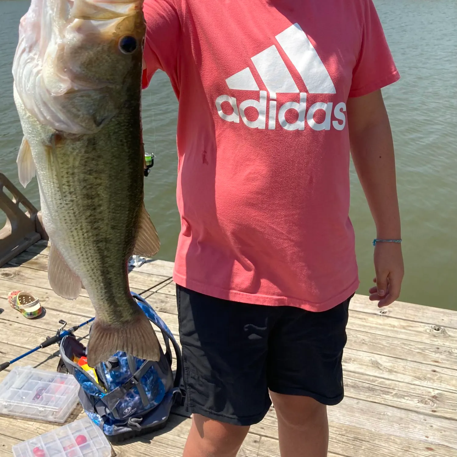 ᐅ La Cygne Lake fishing reports🎣• Raymore, KS (United States) fishing