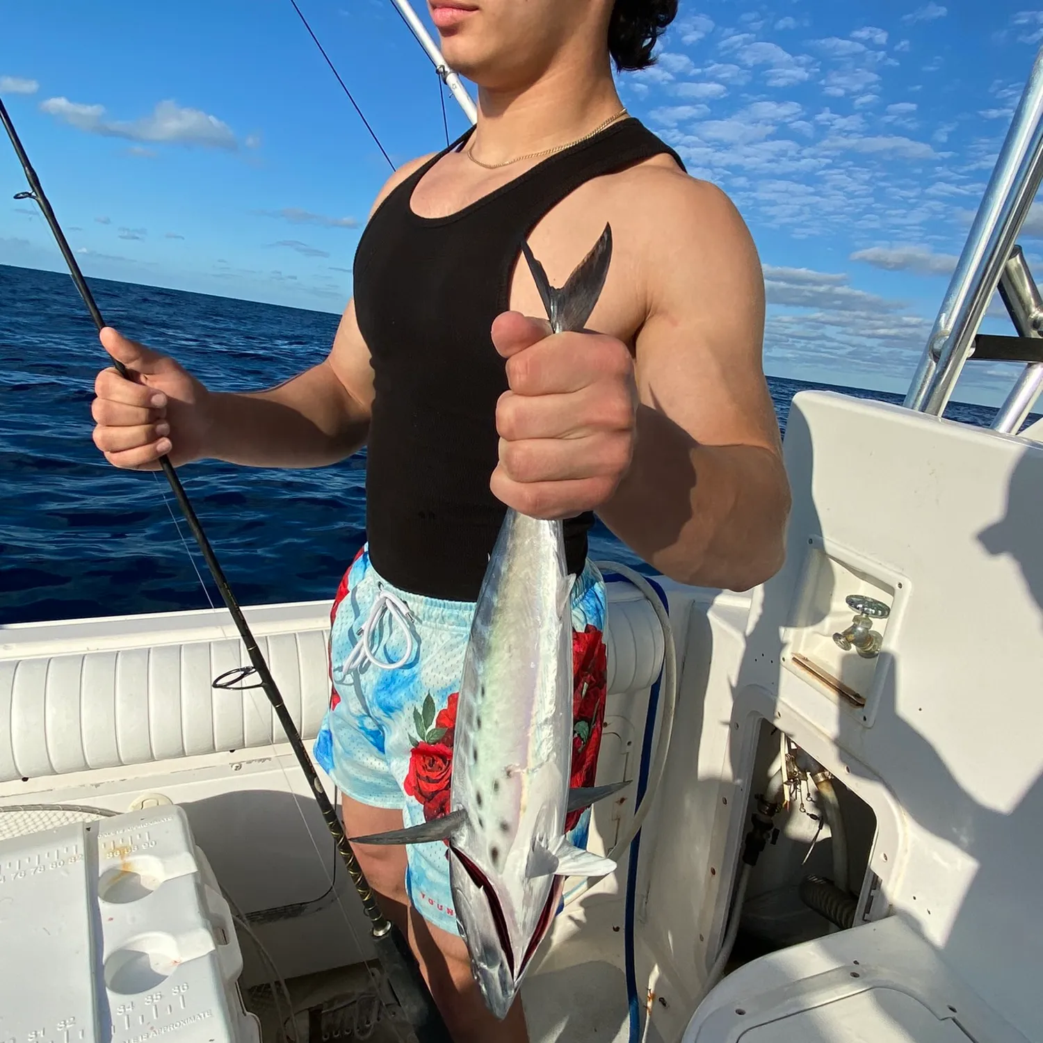 The most popular recent Plain bonito catch on Fishbrain