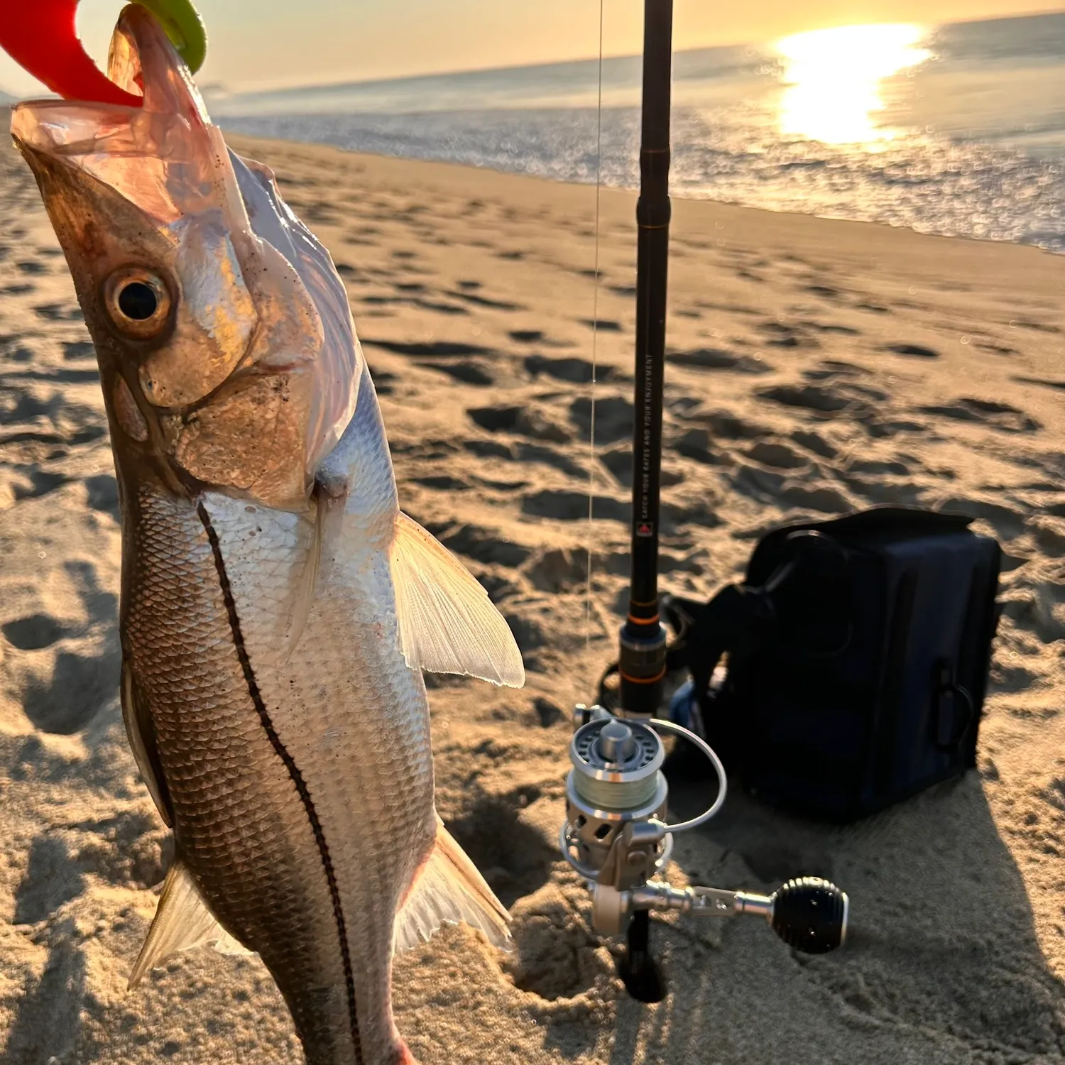 The most popular recent Mexican snook catch on Fishbrain