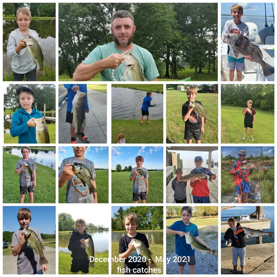 recently logged catches