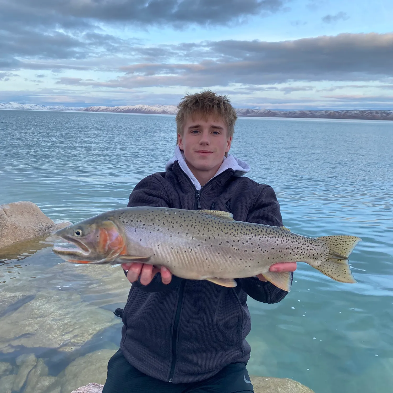 The most popular recent Bear lake cutthroat trout catch on Fishbrain