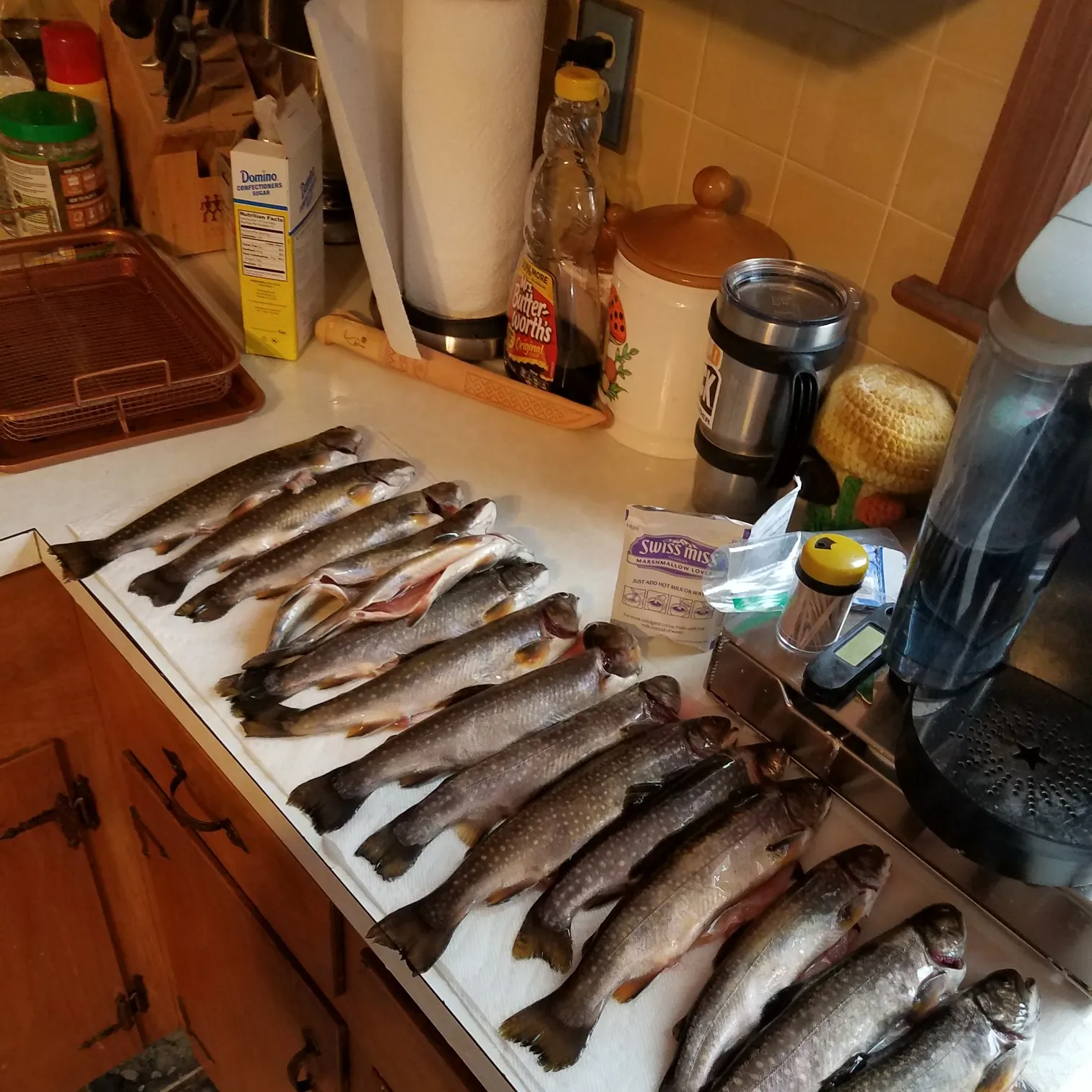 recently logged catches