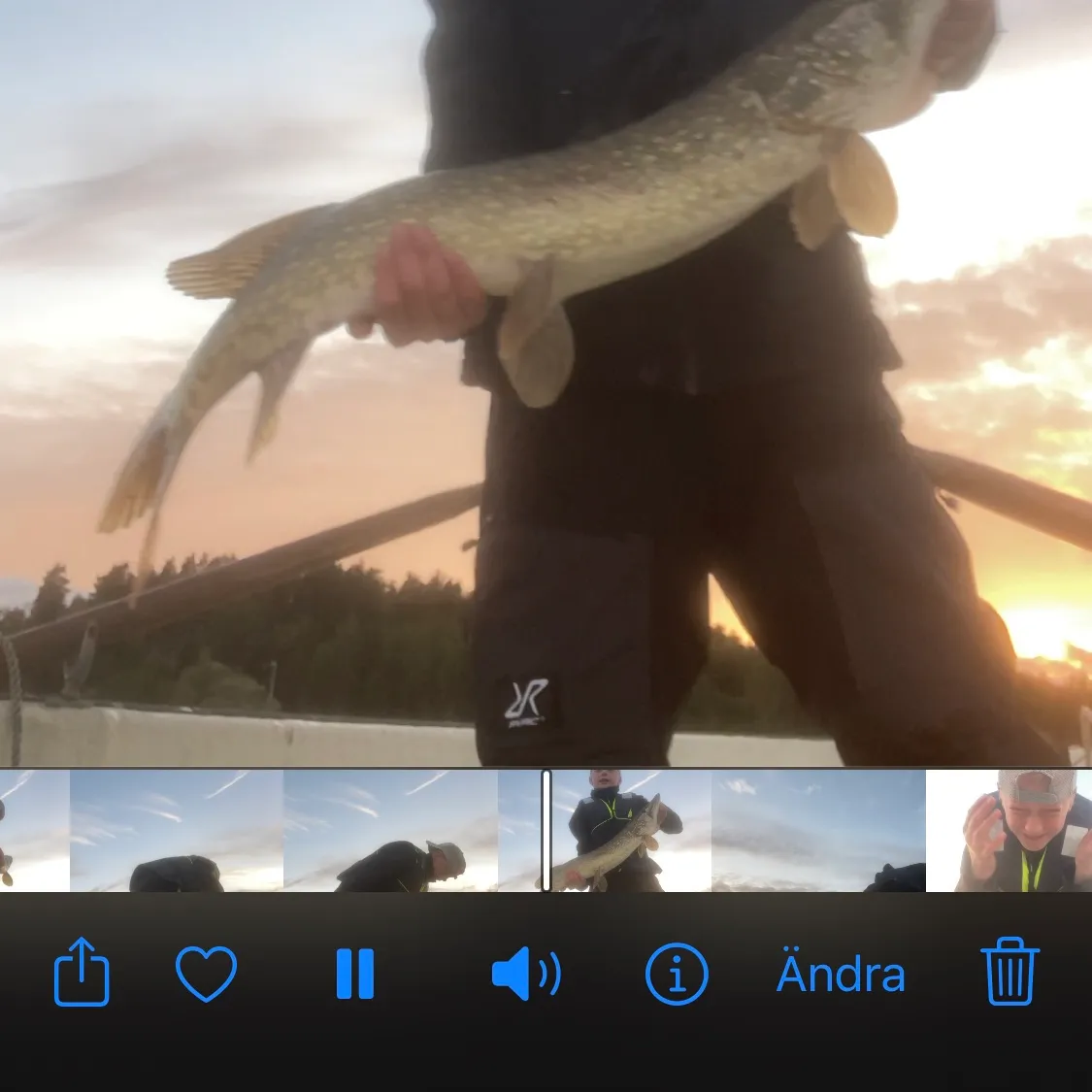 recently logged catches