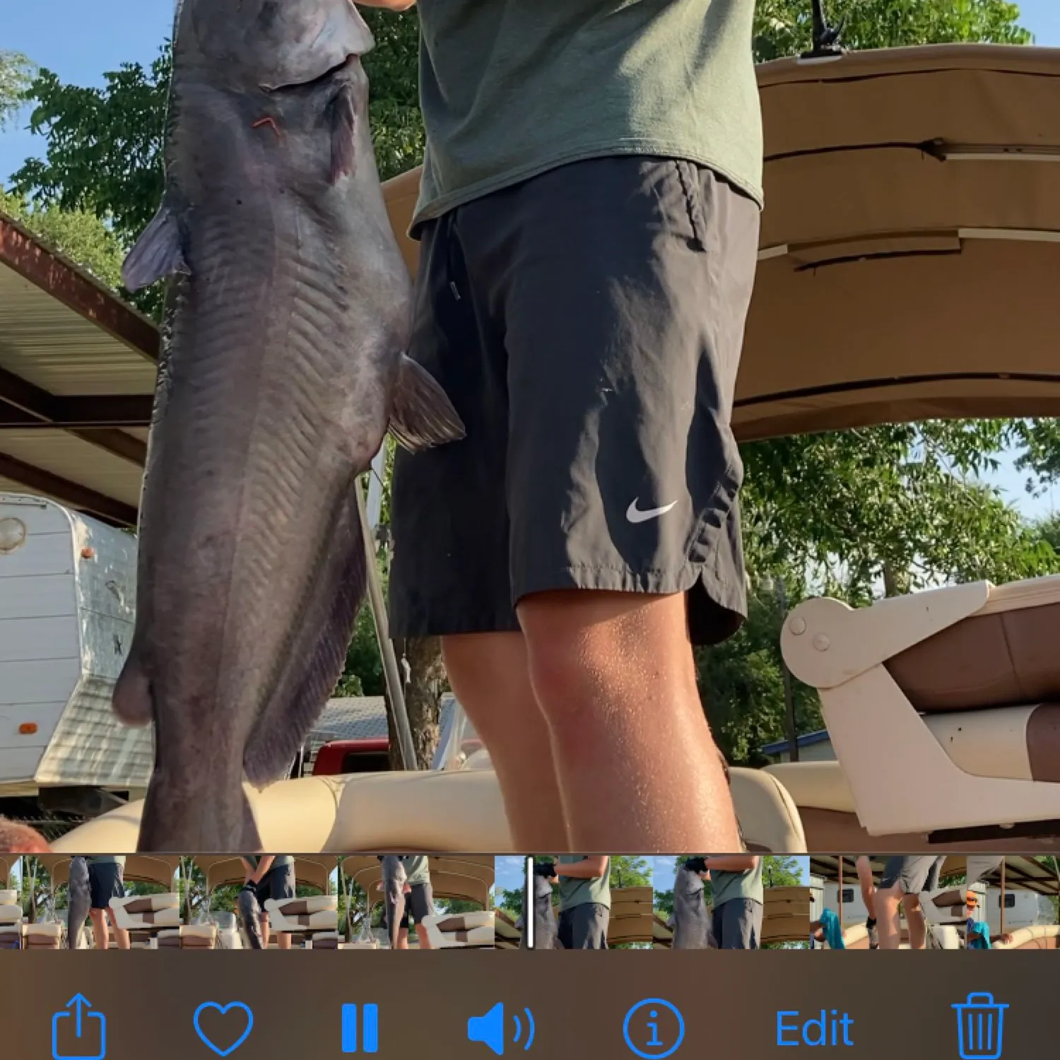 recently logged catches