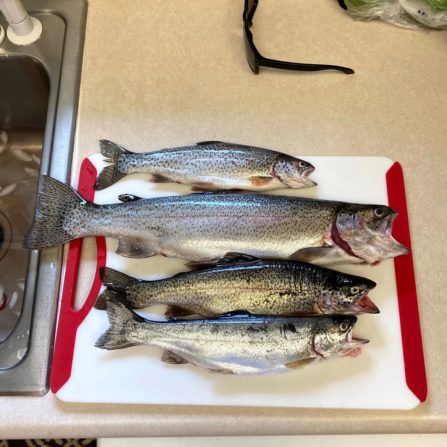 recently logged catches