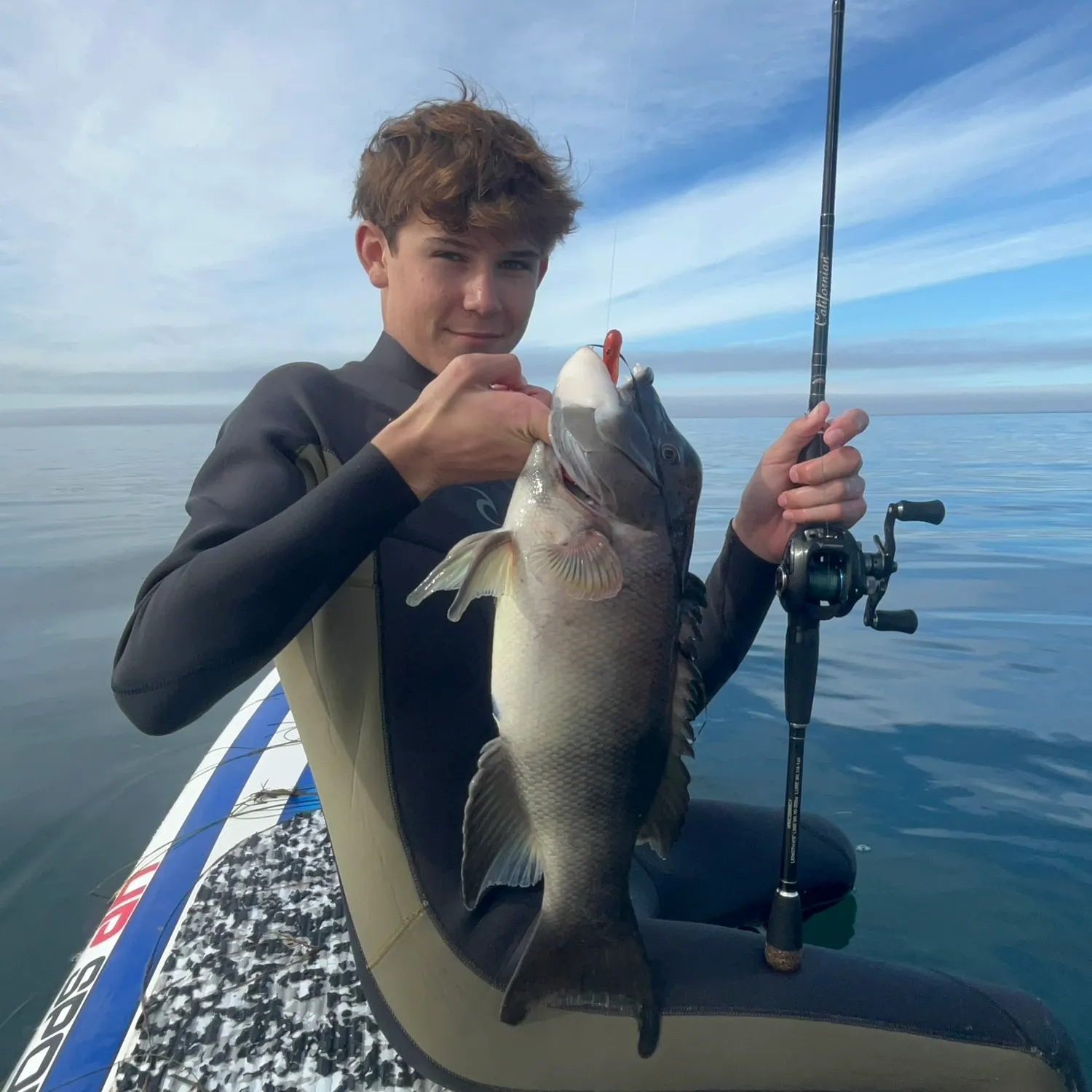 The most popular recent California sheephead catch on Fishbrain