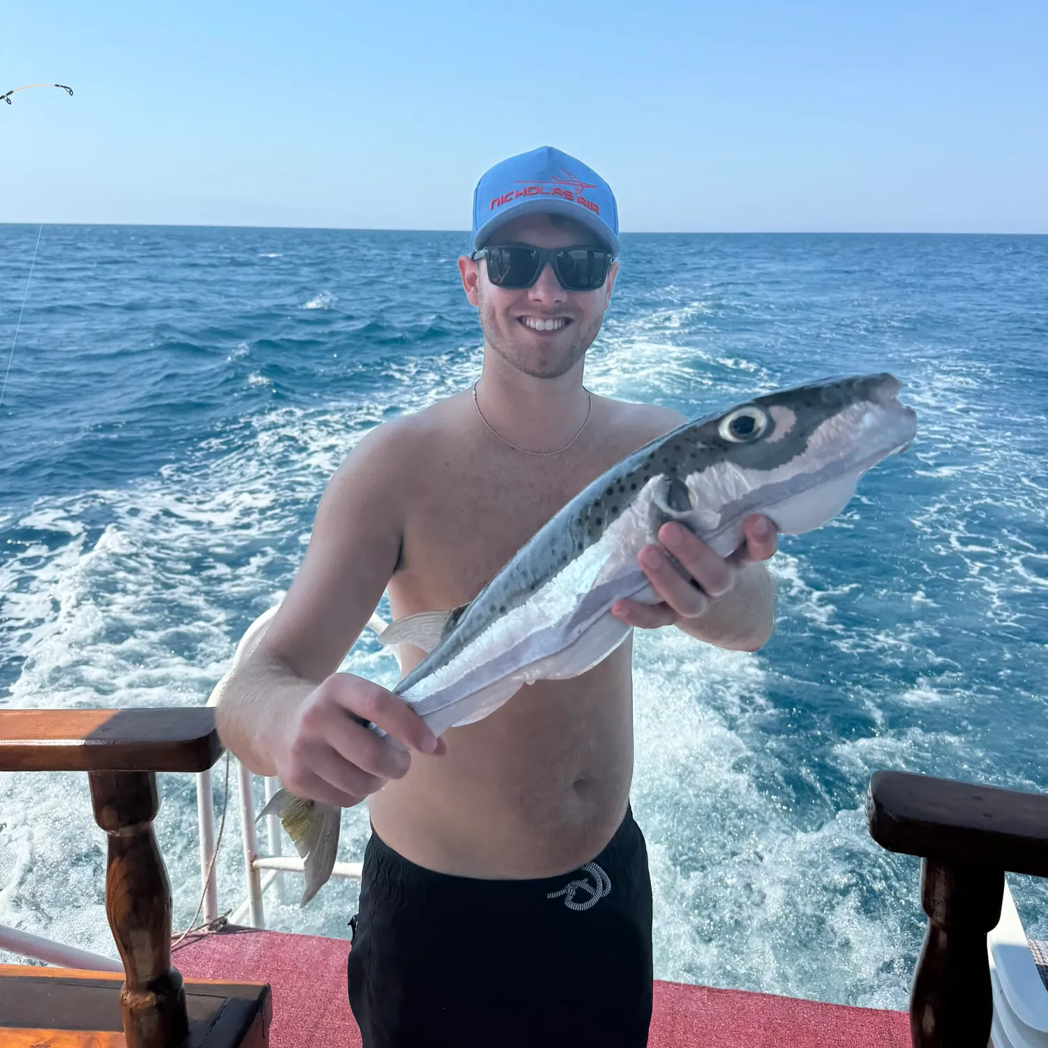 The most popular recent Silver-cheeked toadfish catch on Fishbrain