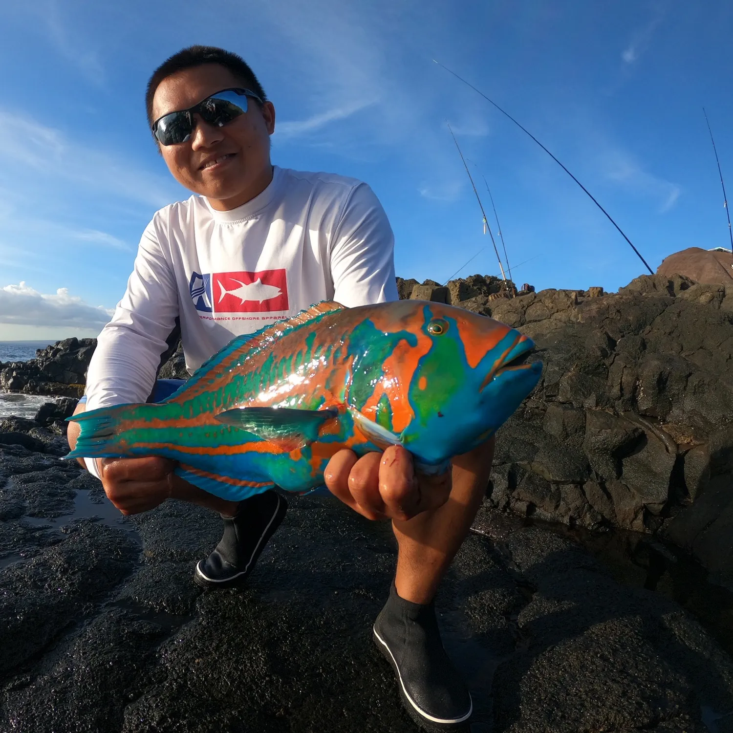 The most popular recent Surge wrasse catch on Fishbrain