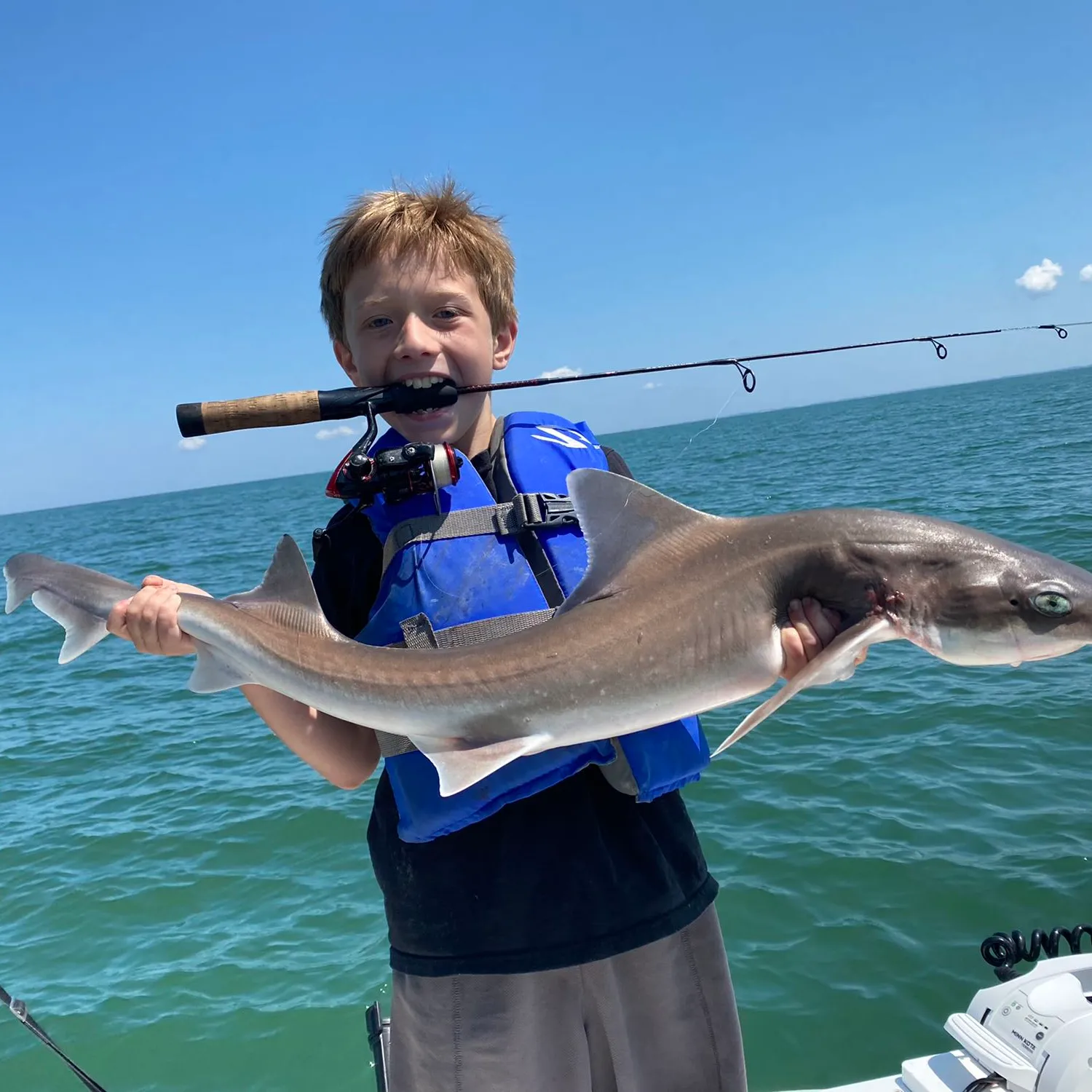 The most popular recent Dusky smooth-hound catch on Fishbrain