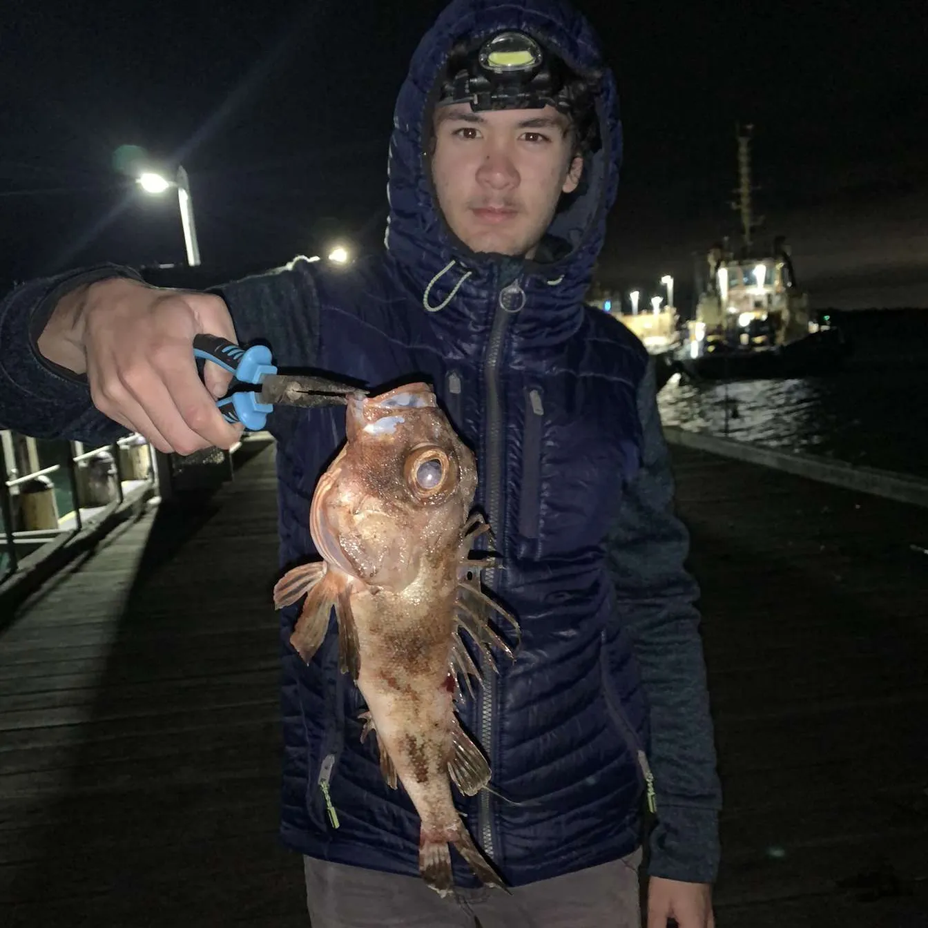 The most popular recent Common gurnard perch catch on Fishbrain